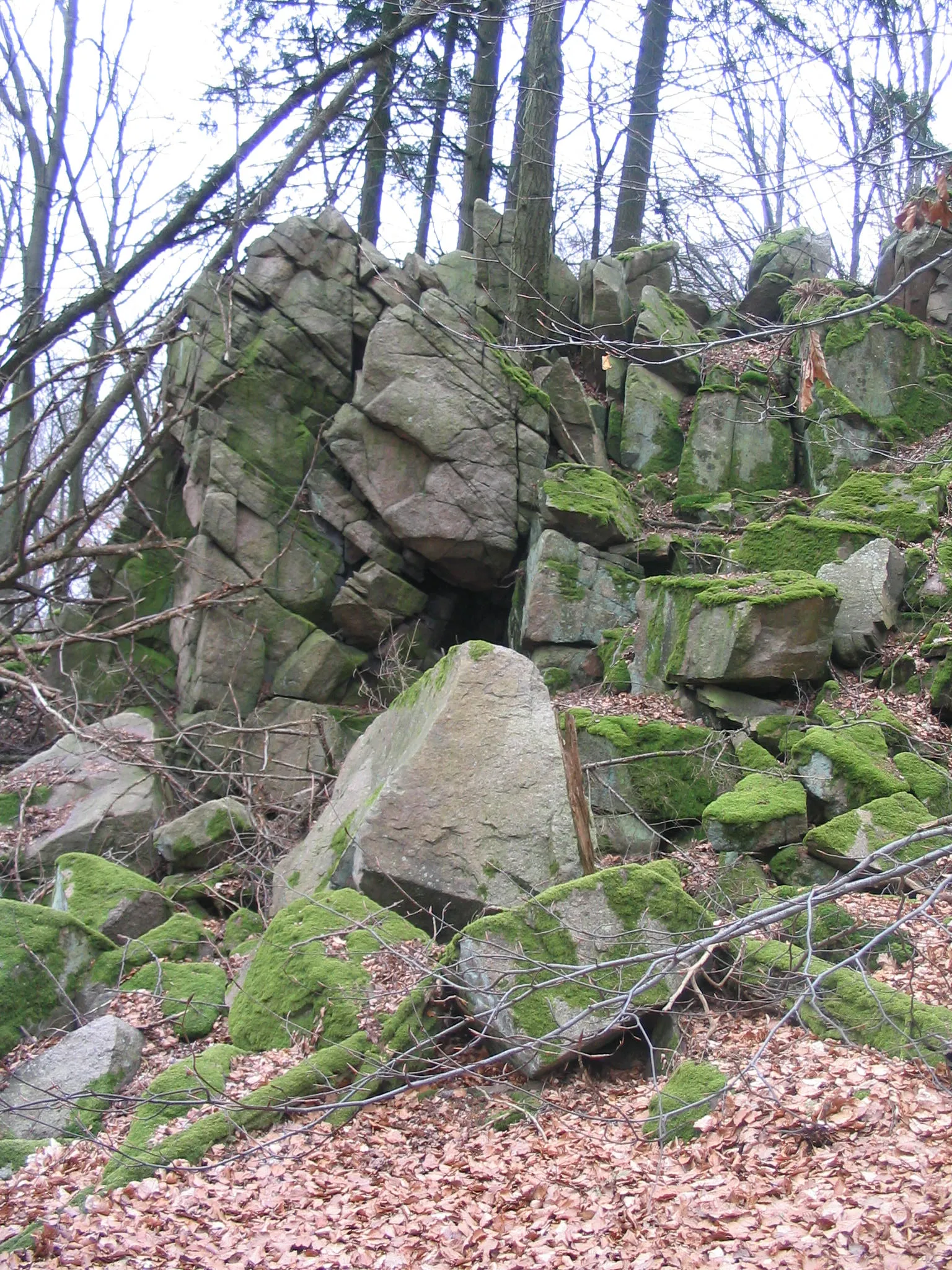 Photo showing: Flasergranitoid-Felsklippe auf der Rimdidim-Höhe (499 m) bei Steinau (Odenwald)