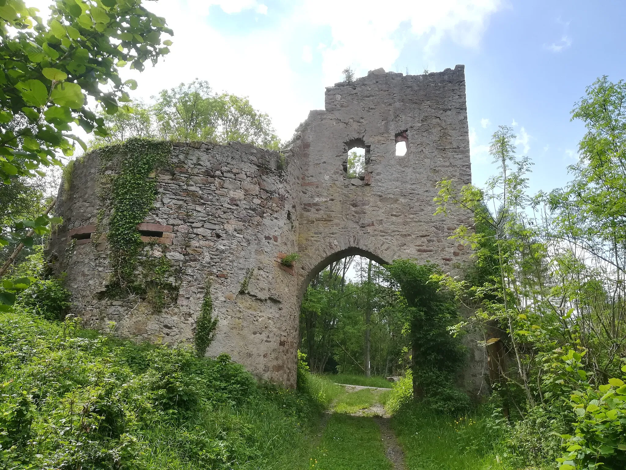 Photo showing: Die 1494 erbaute Mapper Schanze ist das einzige noch erhaltene Bollwerk des Rheingauer Gebücks an der Straße von Oestrich am Rhein nach Geroldstein an der Wisper