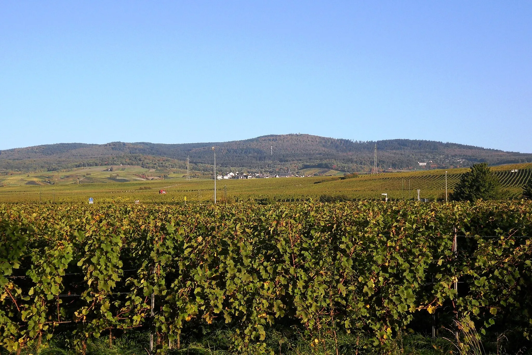 Photo showing: Blick bei klarer Sicht von der Bundesstraße 42 bei Oestrich nach Norden zur 5 Kilometer entfernten und 580 Meter hohen Hallgarter Zange im Rheingaugebirge in der Bildmitte, rechts daneben der 520 Meter hohe Nebengipfel mit dem Ringwall Hallgarter Zange, darunter der Ortsrand von Hallgarten und Weinbergslagen von Oestrich