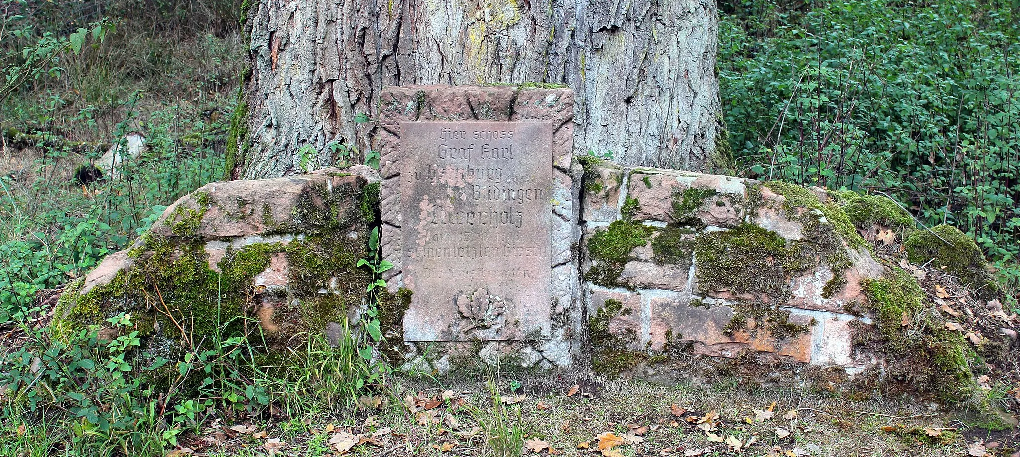 Photo showing: Gedenkstein im Gettenbacher Wald mit der Inschrift: "Hier schoss Graf Karl zu Ysenburg-Büdingen-Meerholz am 15.10.1898 seinen letzten Hirsch."