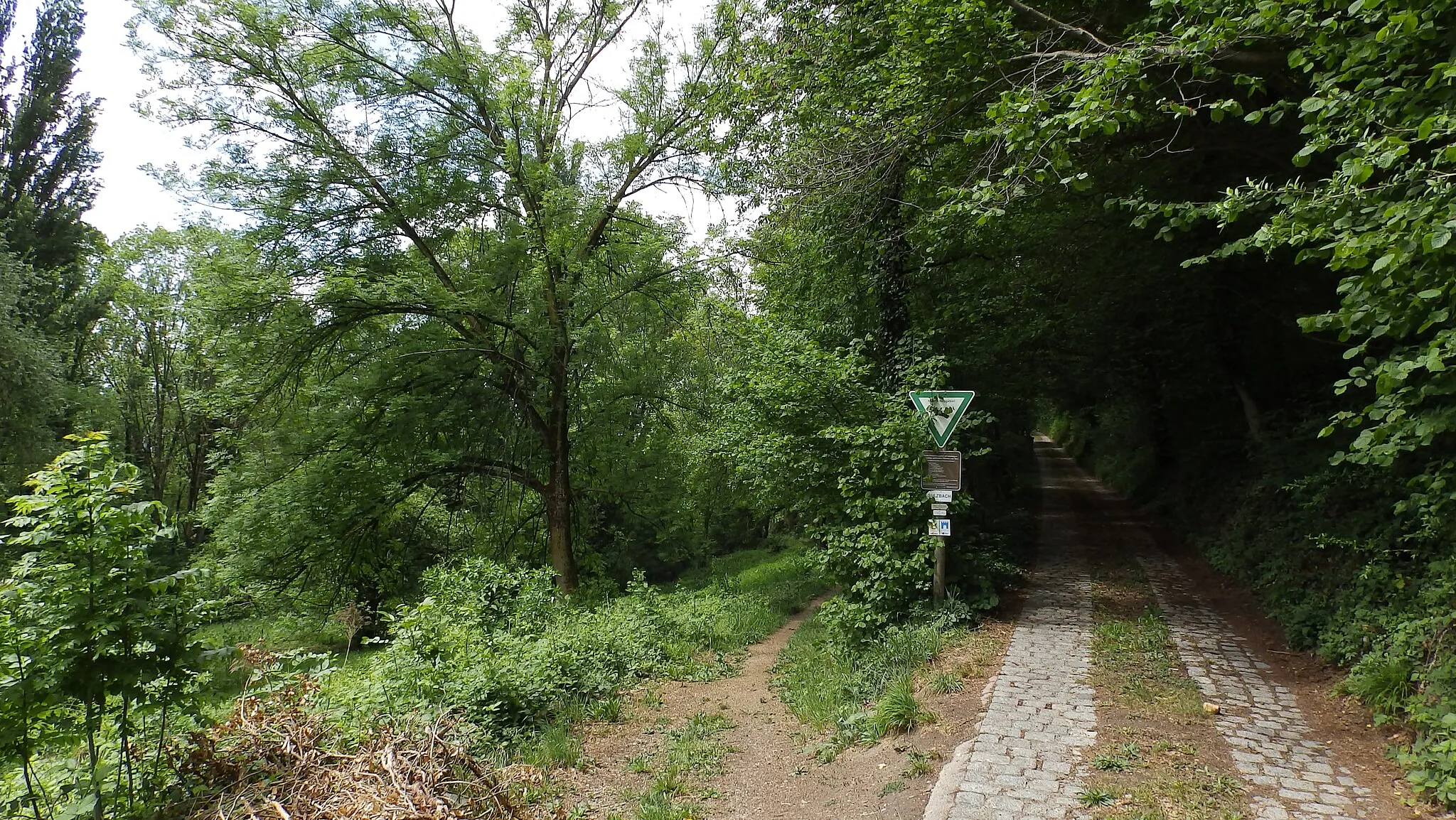 Photo showing: Fotografie des südlichen Eingangs in das Naturschutzgebiet "Wüstnächstenbach und Haferbuckel" bei Weinheim.