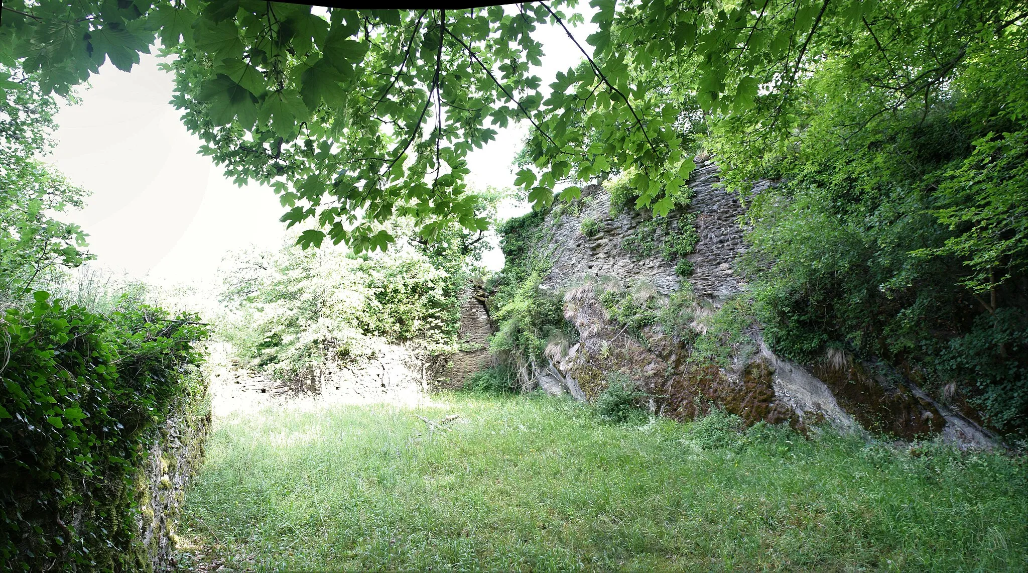 Photo showing: Burgruine Kammerburg im Wispertal Lorch Rhein