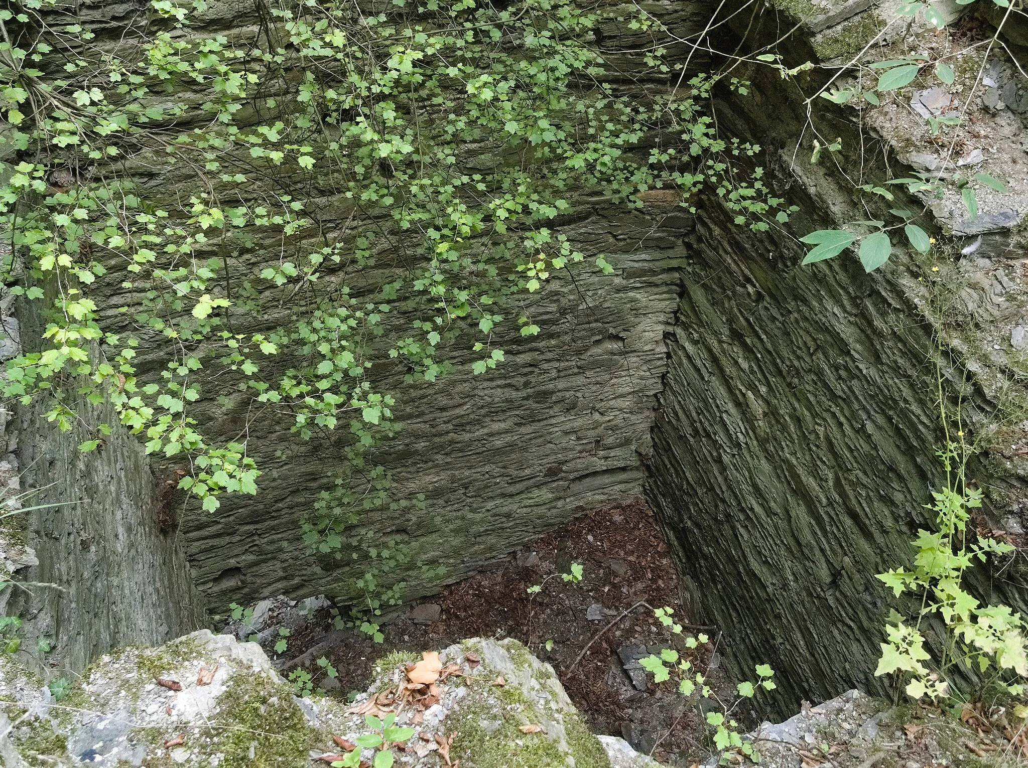 Photo showing: Rheinberg castle near Lorch, Germany. View into the rectangular inner of the half-round tower at the eastern border of the complex.