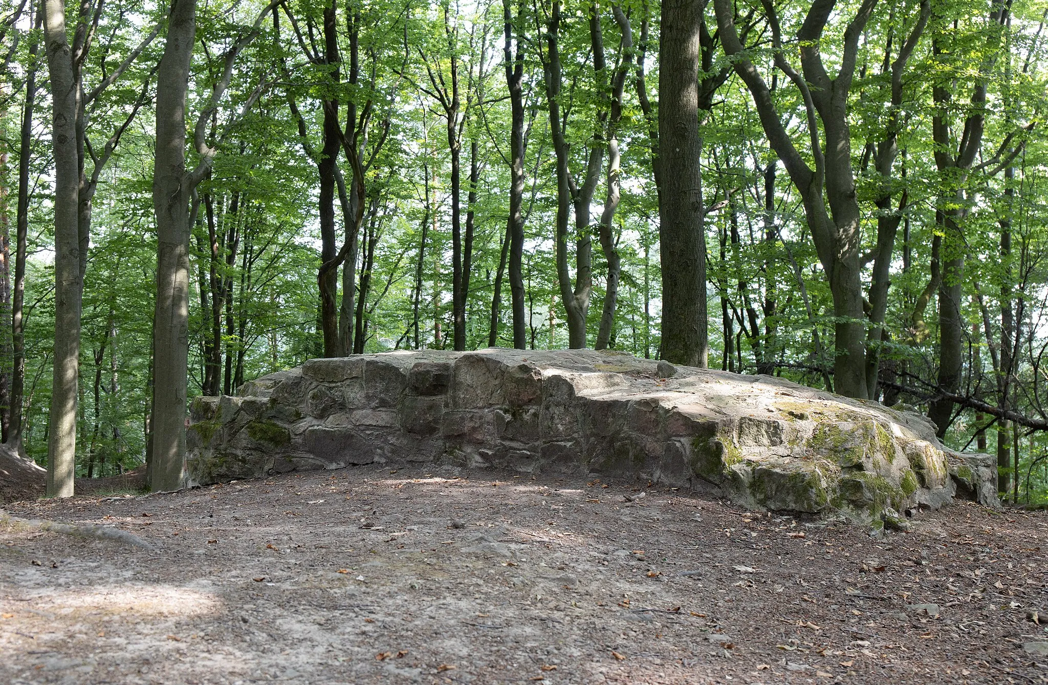 Photo showing: Reconstructed excavation remains (two separate wall sections) and circular rampart of the former castle on the Klosterberg near Rottenberg, Germany.