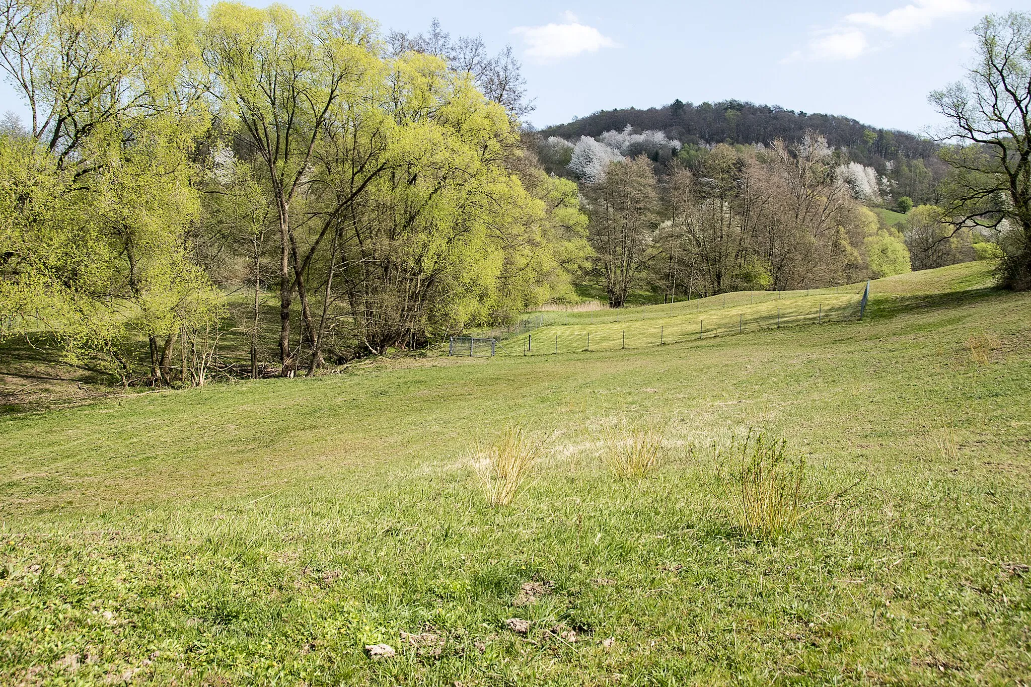 Photo showing: Naturschutzgebiet, als Lebensraum für den Wiesenknopf-Ameisenbläuling (Schmetterlingsart) ausgewiesen.