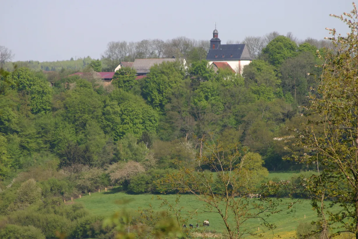 Photo showing: Wirberg near Göbelnrod, May 2008