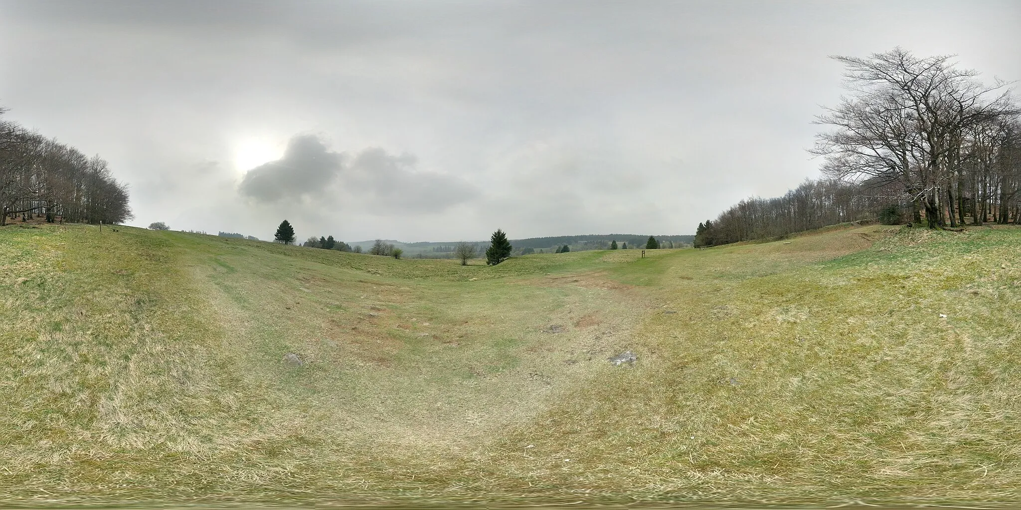 Photo showing: Photosphere of "Naturpark Hoher Vogelsberg" near Geiselstein Schotten, Hesse, Germany