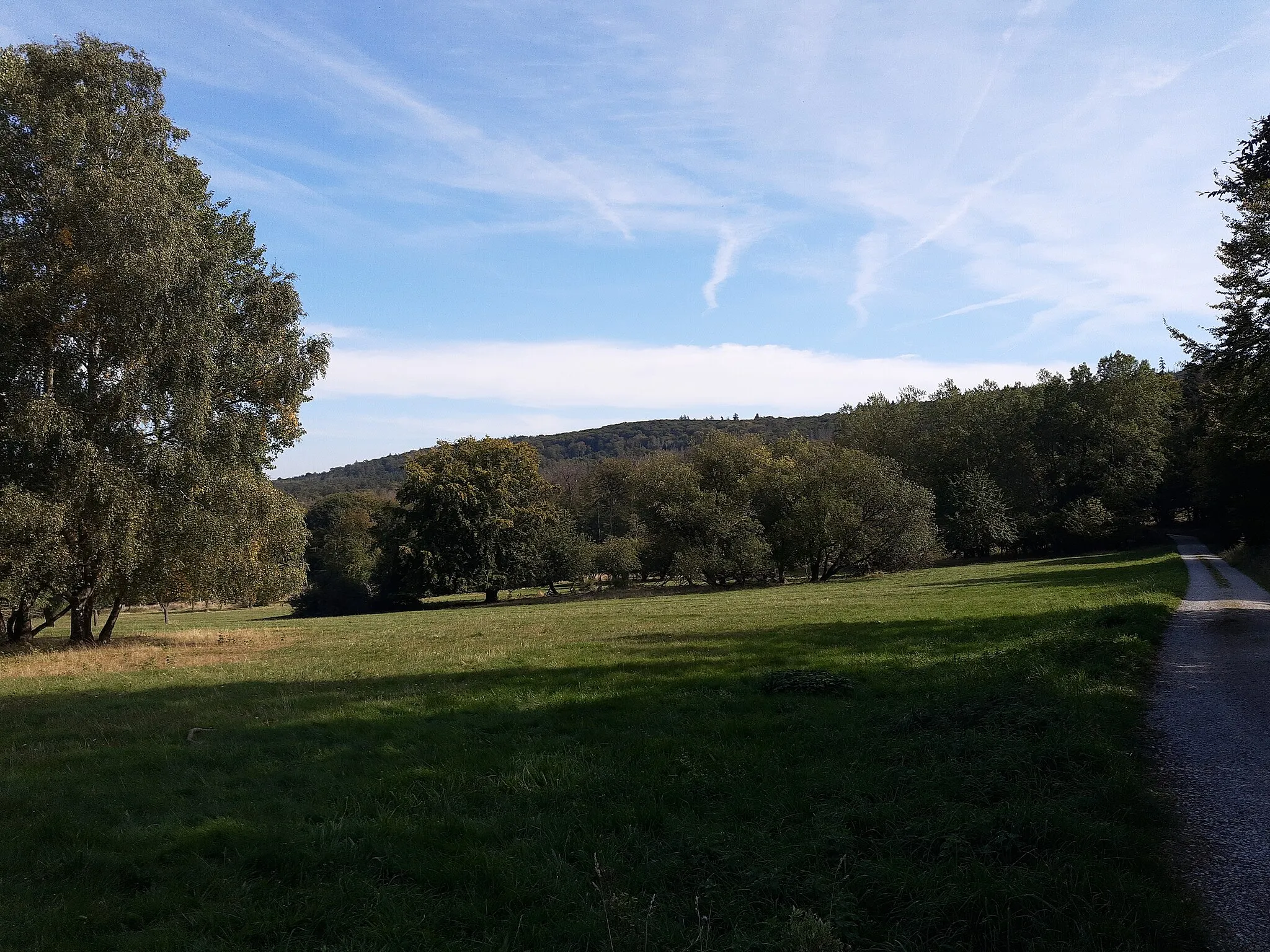 Photo showing: View from Engenhahn-Wildpark to trail below Hohe Kanzel