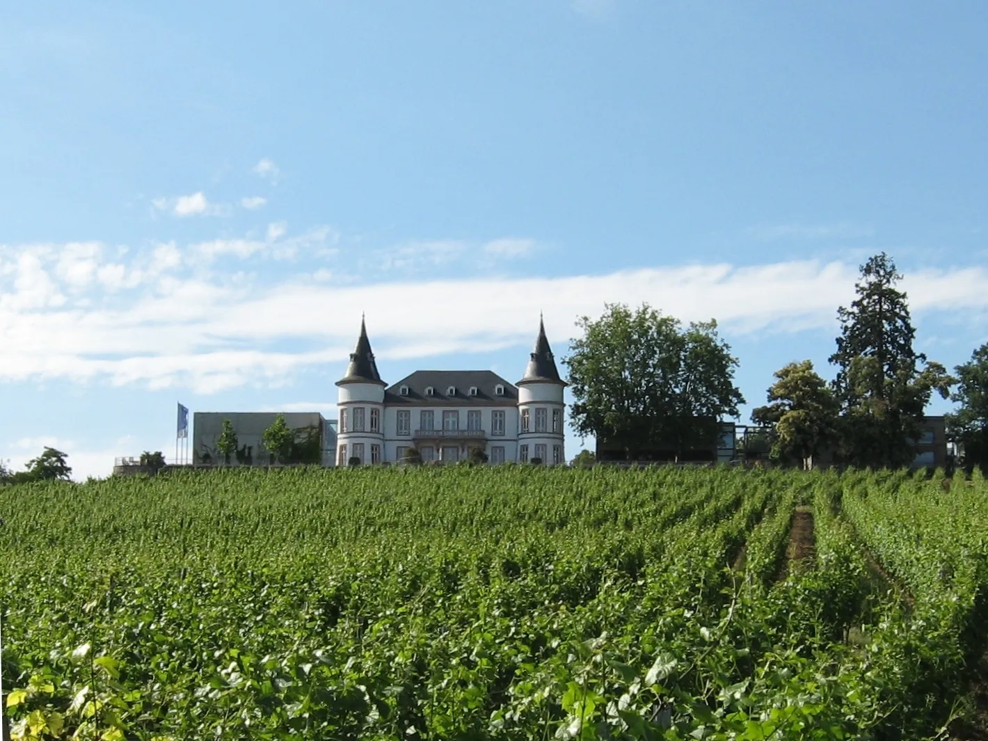 Photo showing: Schloss Hansenberg in Johannisberg