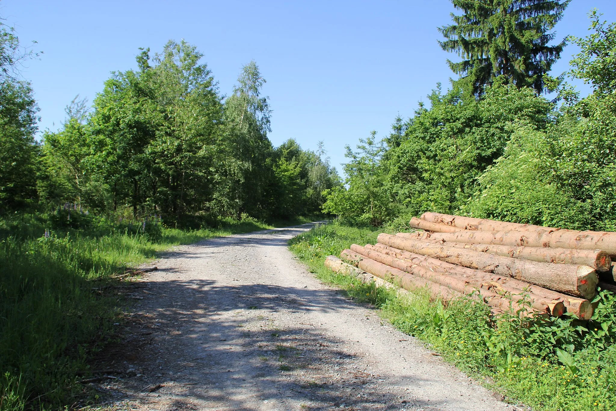 Photo showing: Gipfelbereich des Glasberges