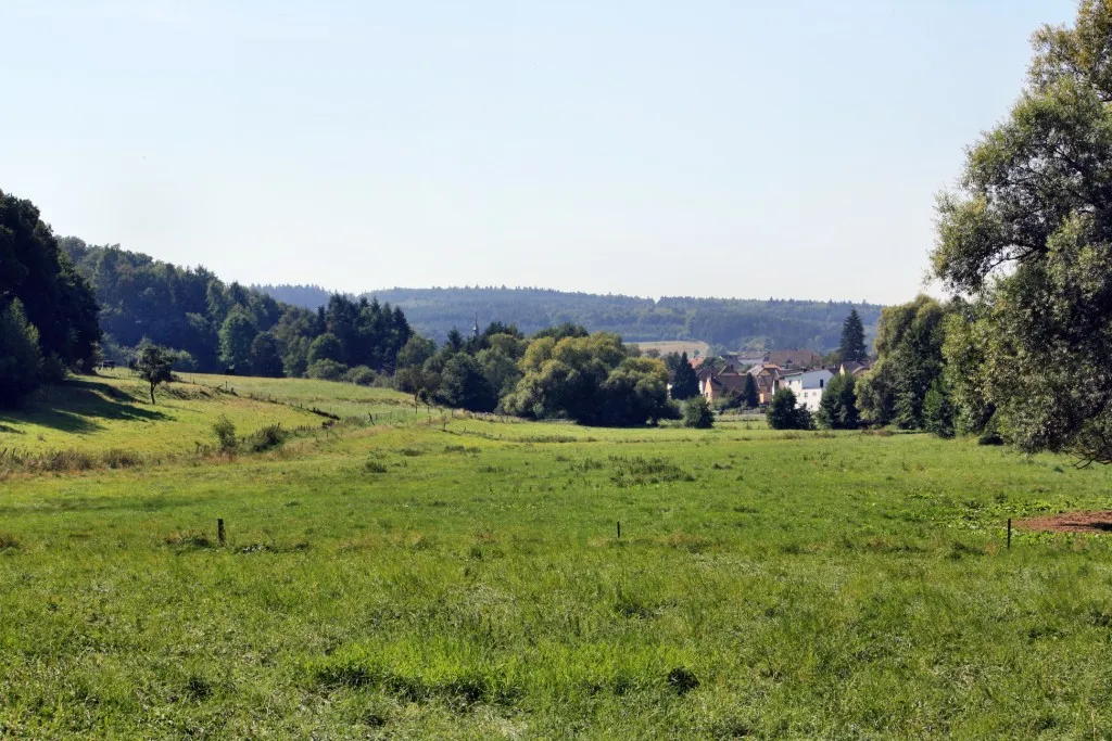 Photo showing: Dörsbachtal bei Laufenselden im Taunus