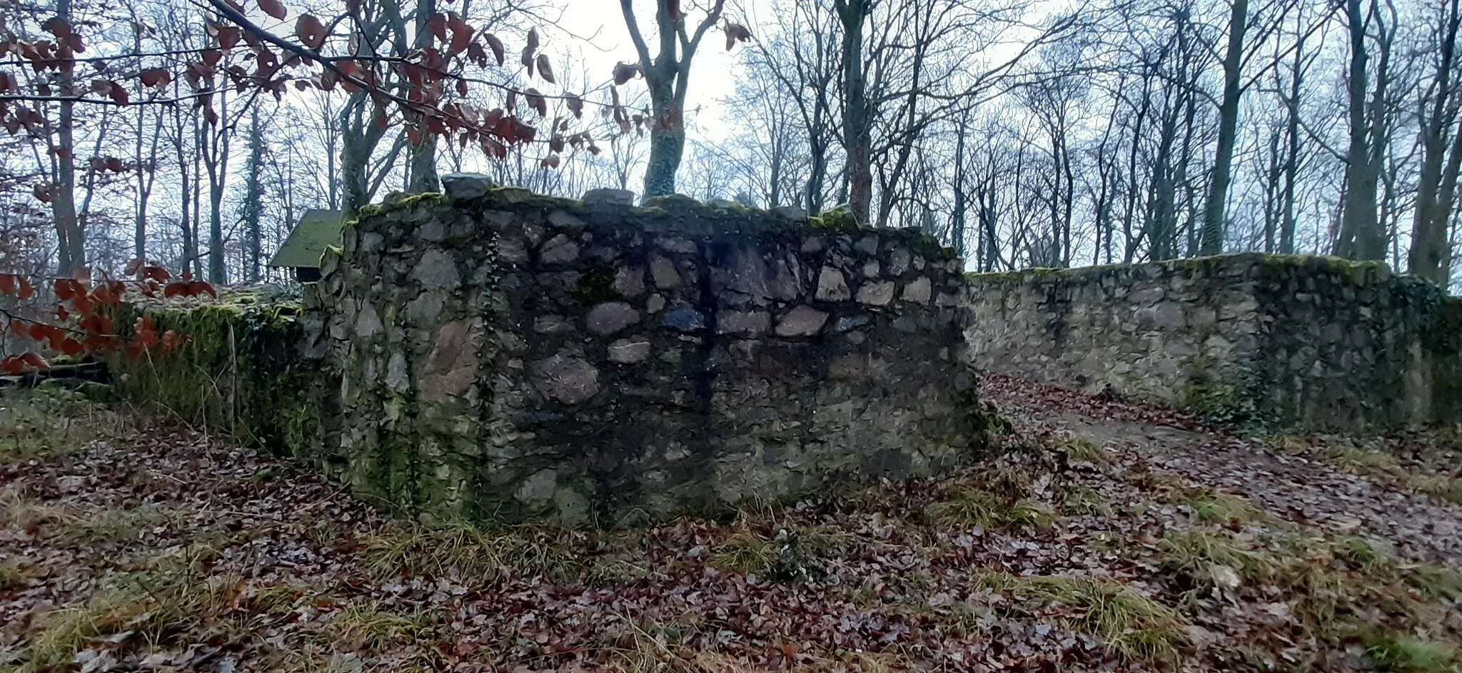 Photo showing: Burg Schnellerts Ende Dezember 2021: Toreingang im Nordosten der Burg. Blick von Außen. Links im Bild, der Verlauf der nördlichen wiederaufgemauerten Burgmauer.