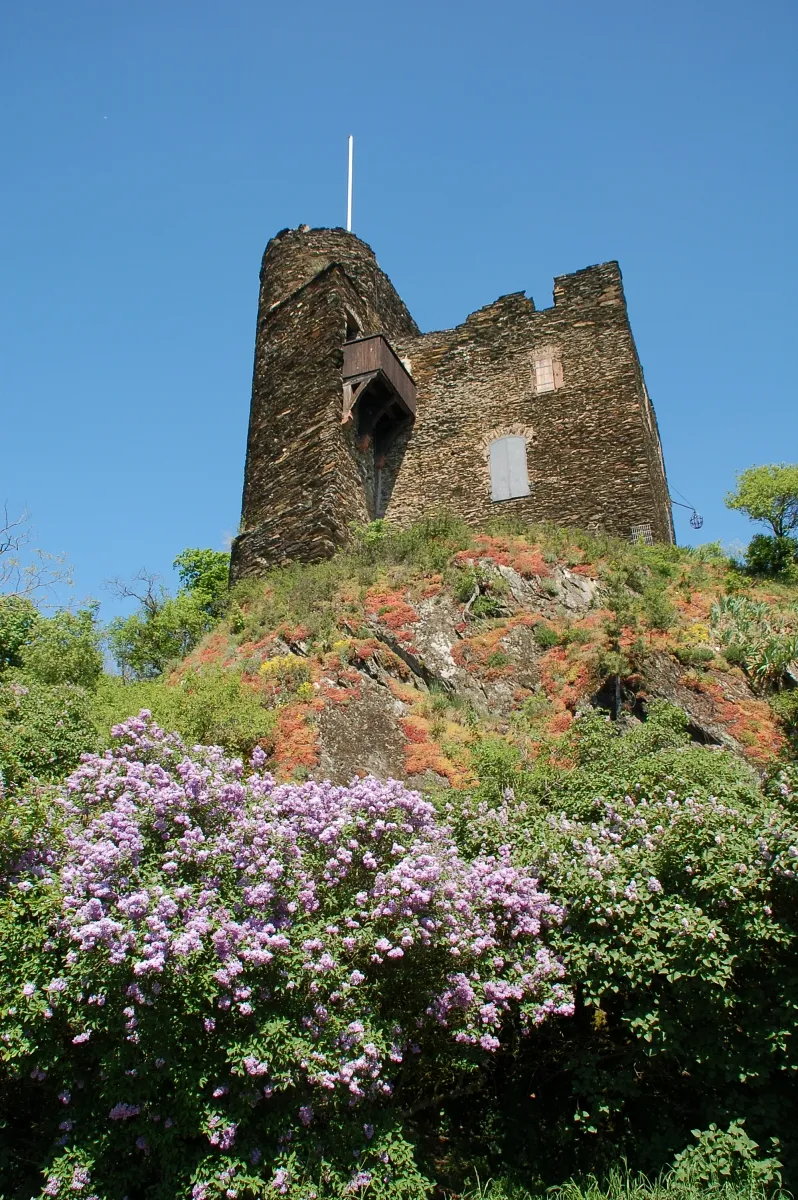 Photo showing: Ruine Nollig, Lorch, Mittelrheintal, Hessen, Deutschland