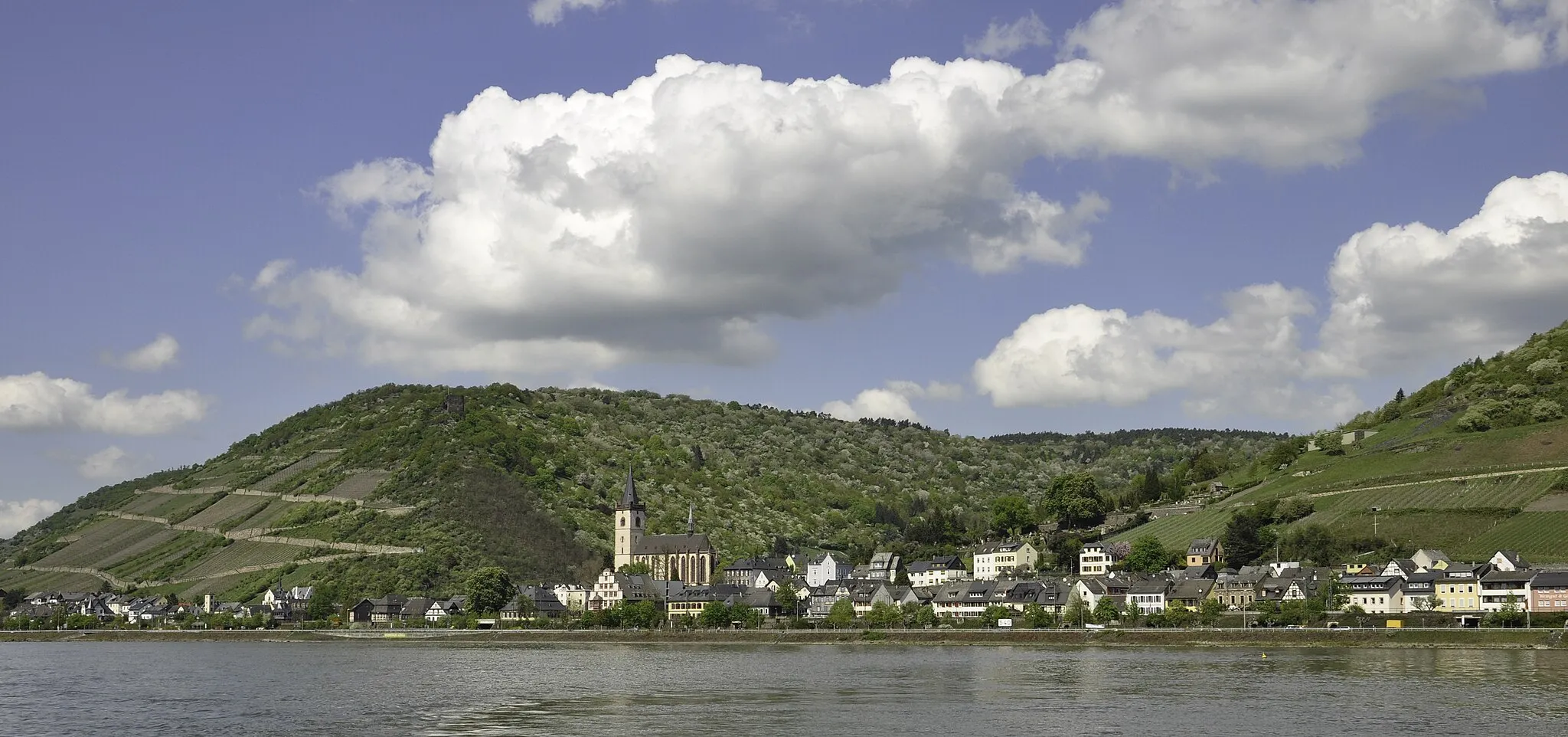 Photo showing: Lorch am Rhein vom Fluß aus gesehen