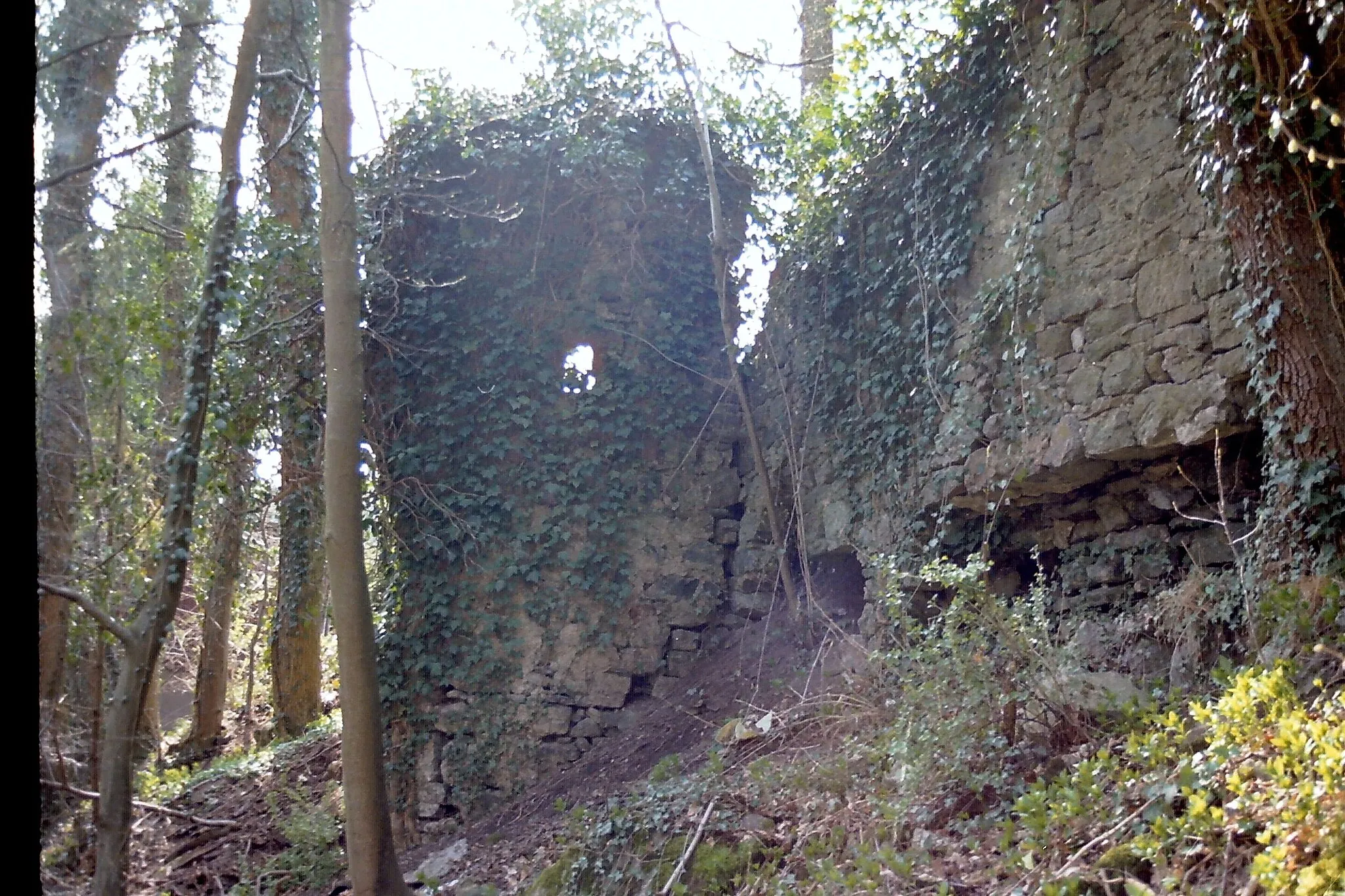 Photo showing: Halbschalenturm der Burgruine Waldeck Zustand bis 2021