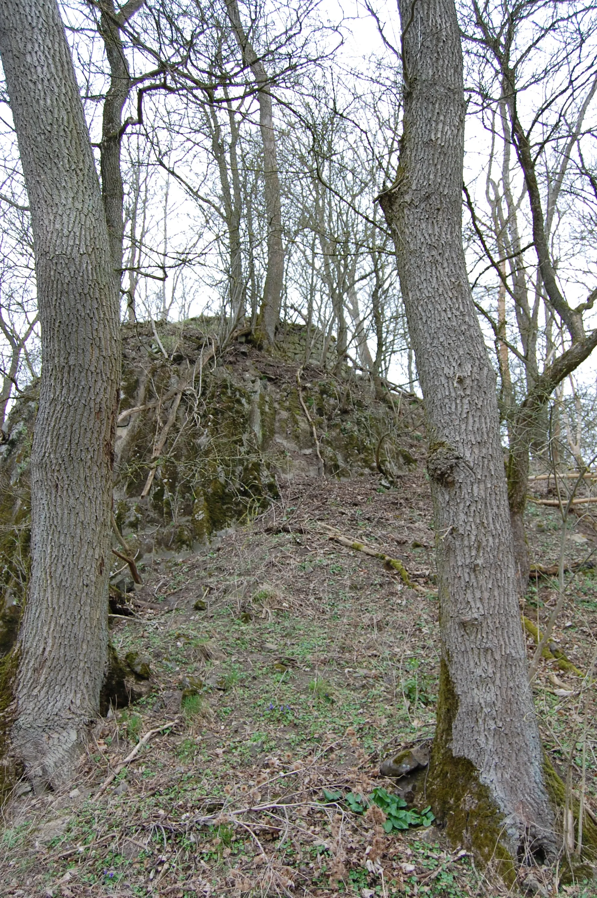 Photo showing: Malsburg bei Zierenberg. Reste des Rundturms auf der Basaltkuppe