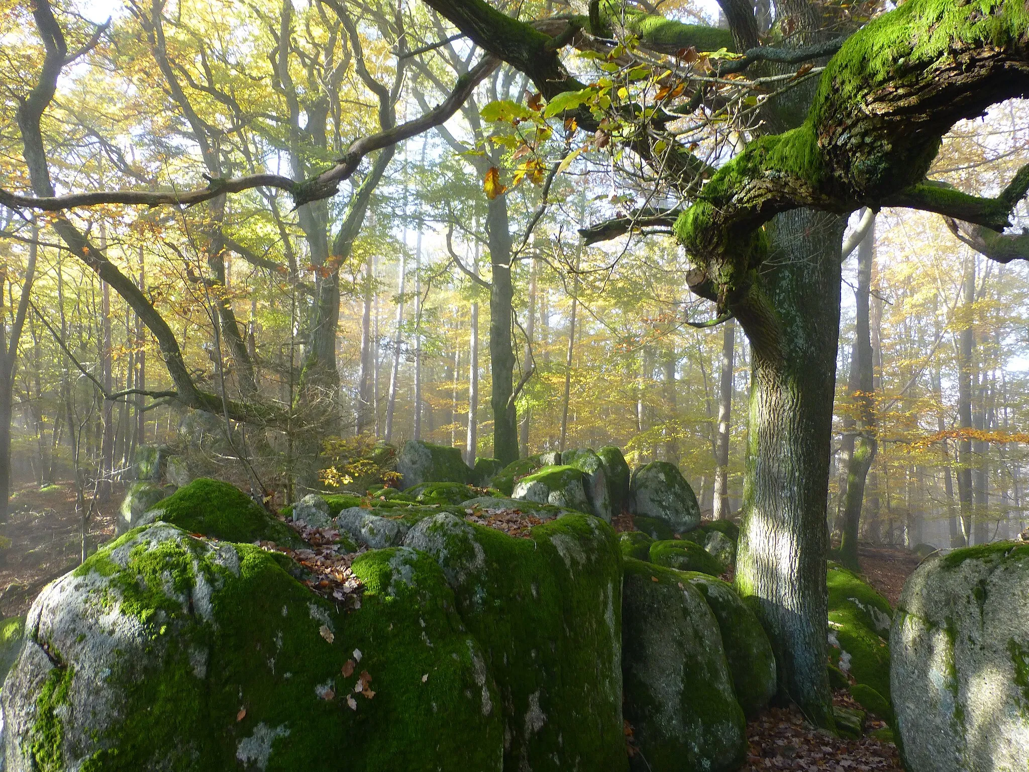 Photo showing: Steinkopf (Odenwald); Felsformation am Gipfelbereich vom Zindenauer Schlösschen gesehen