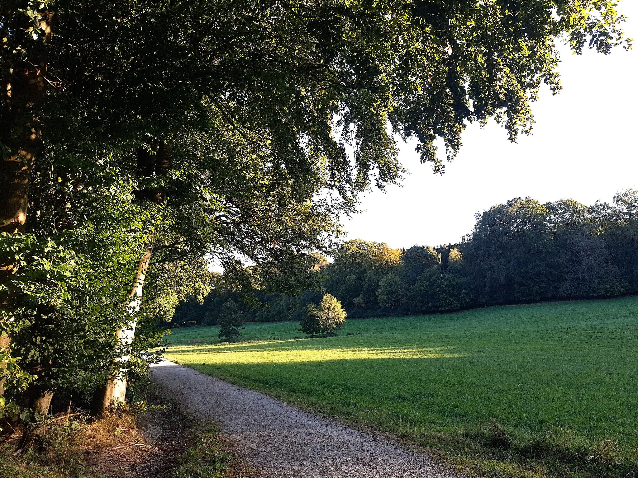 Photo showing: SSpring of the Aar river, Neuhof