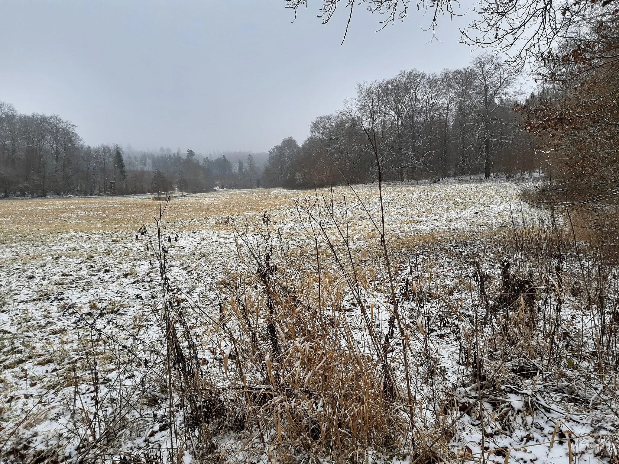 Photo showing: Aar spring in December, light snow on the meadow