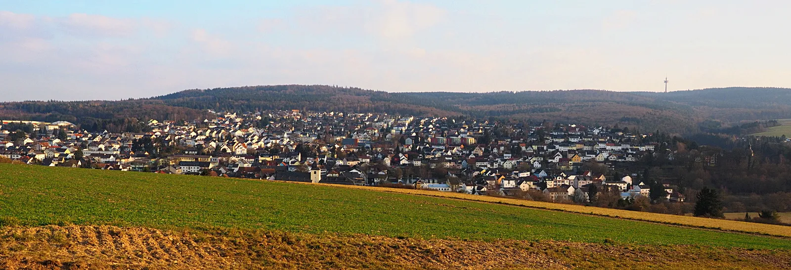 Photo showing: Blick von Norden von „Färbers Ruh“ auf Bleidenstadt.