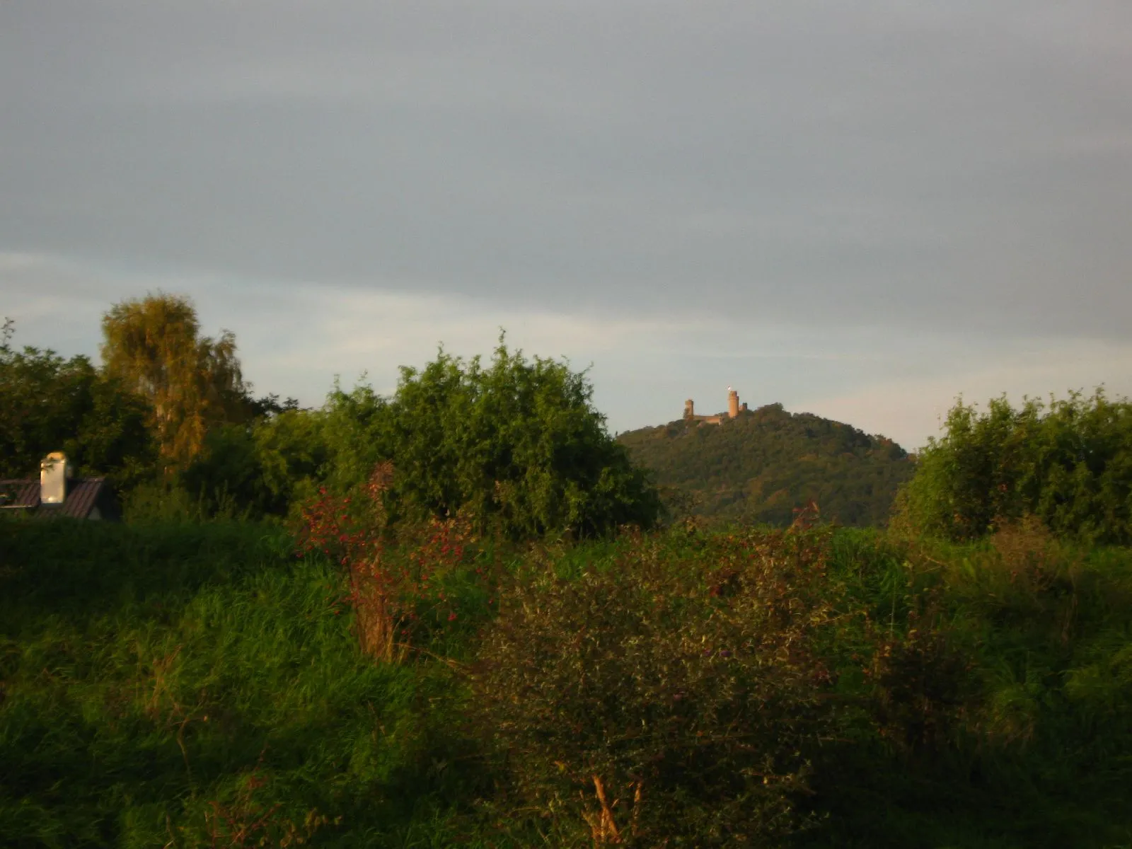 Photo showing: Auerbach Castle
