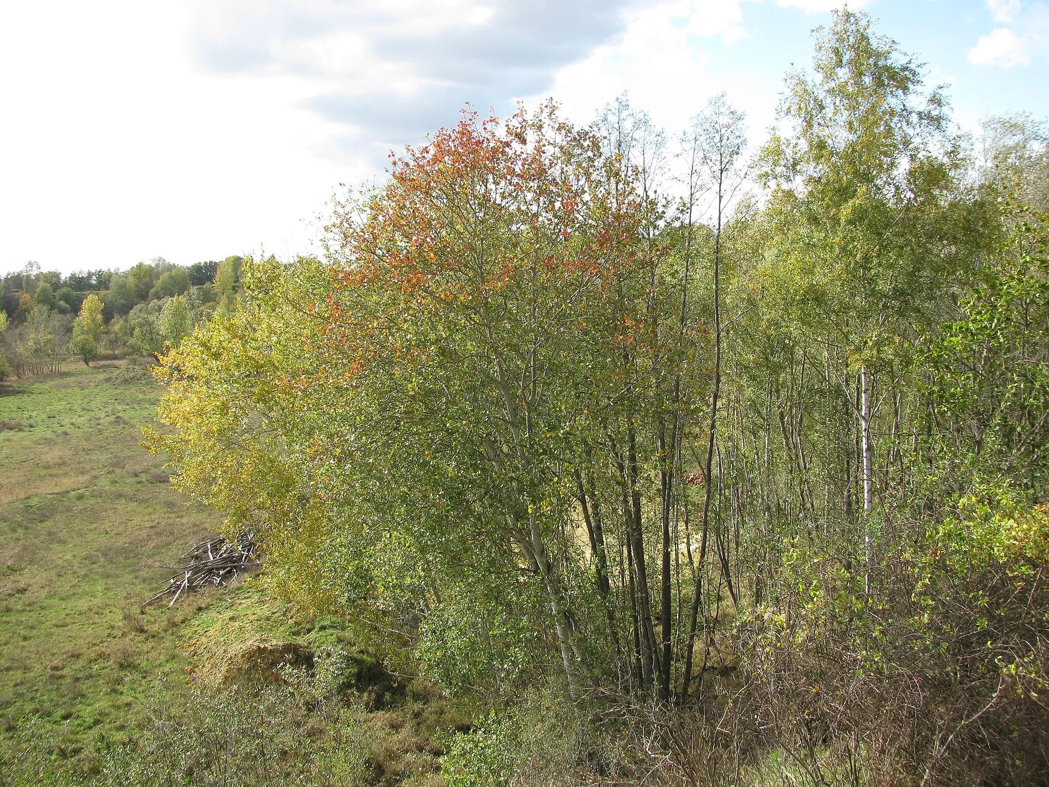 Photo showing: Blick vom Aussichtsturm 3 des Naturschutzgebiets Weilbacher Kiesgruben auf deren Gelände