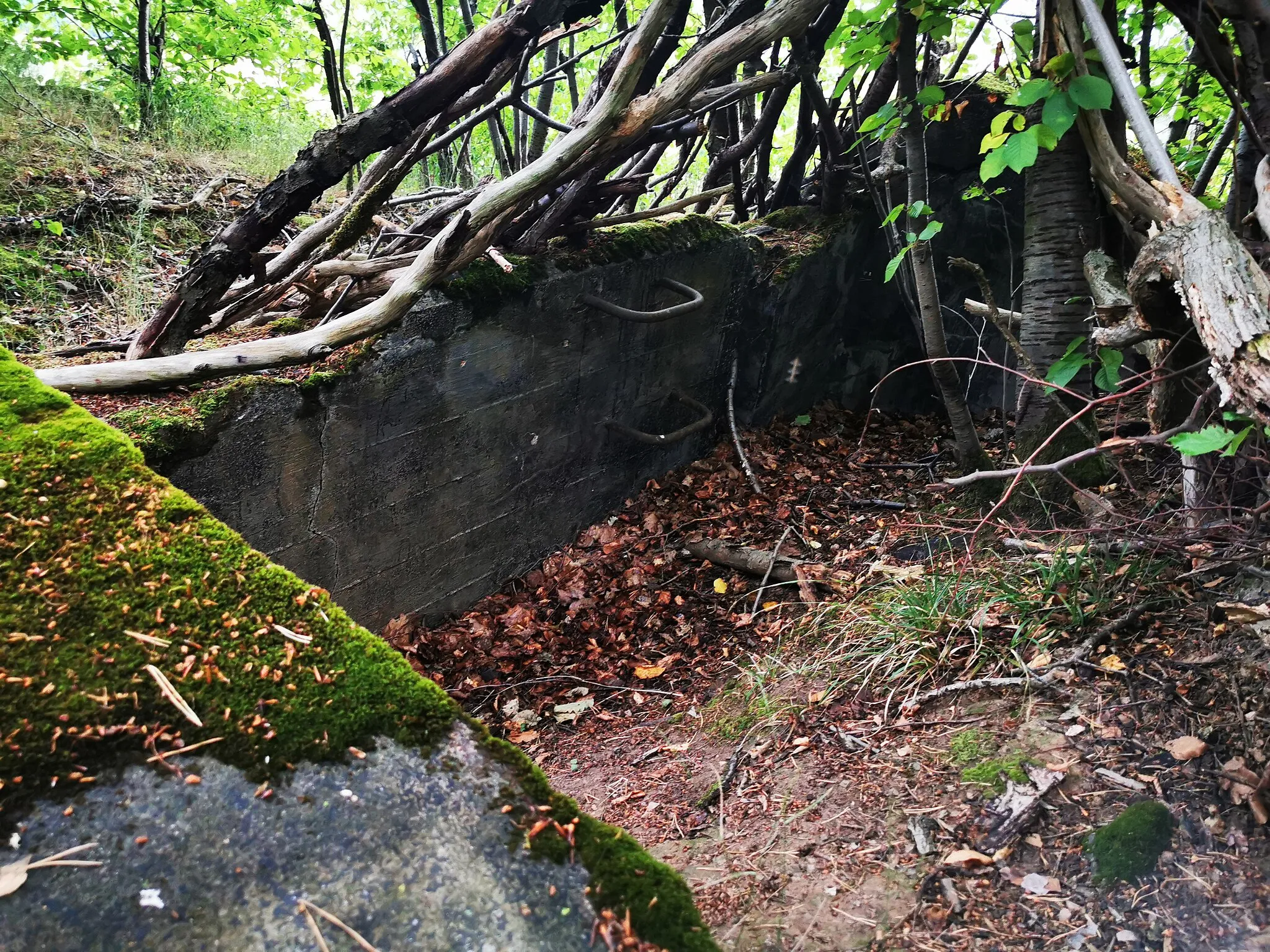 Photo showing: Gesprengter Bunker mit der Nummer 150 der Wetterau-Main-Tauber-Stellung am Schloßberg östlich von Wasserlos