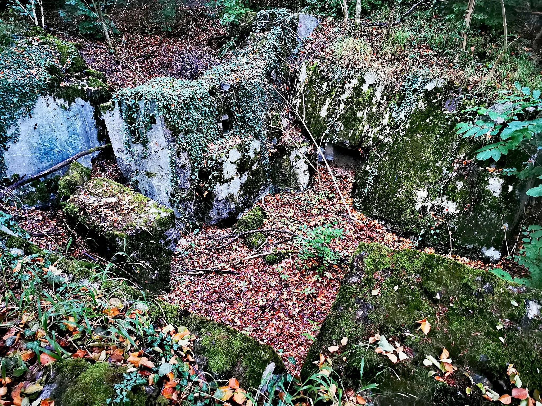 Photo showing: Gesprengter Bunker mit der Nummer 149 der Wetterau-Main-Tauber-Stellung östlich von Wasserlos