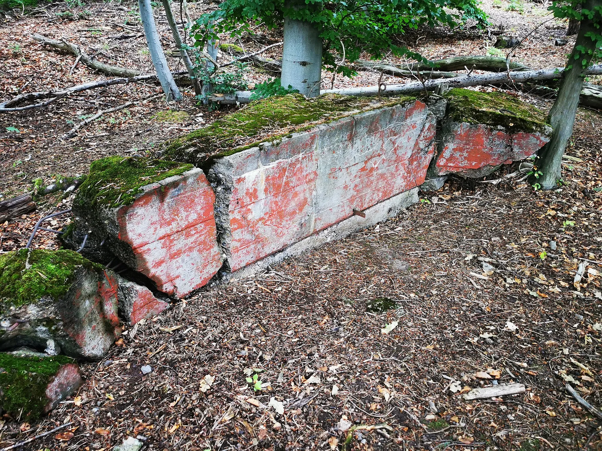 Photo showing: Gesprengter Bunker mit der Nummer 150 der Wetterau-Main-Tauber-Stellung am Schloßberg östlich von Wasserlos