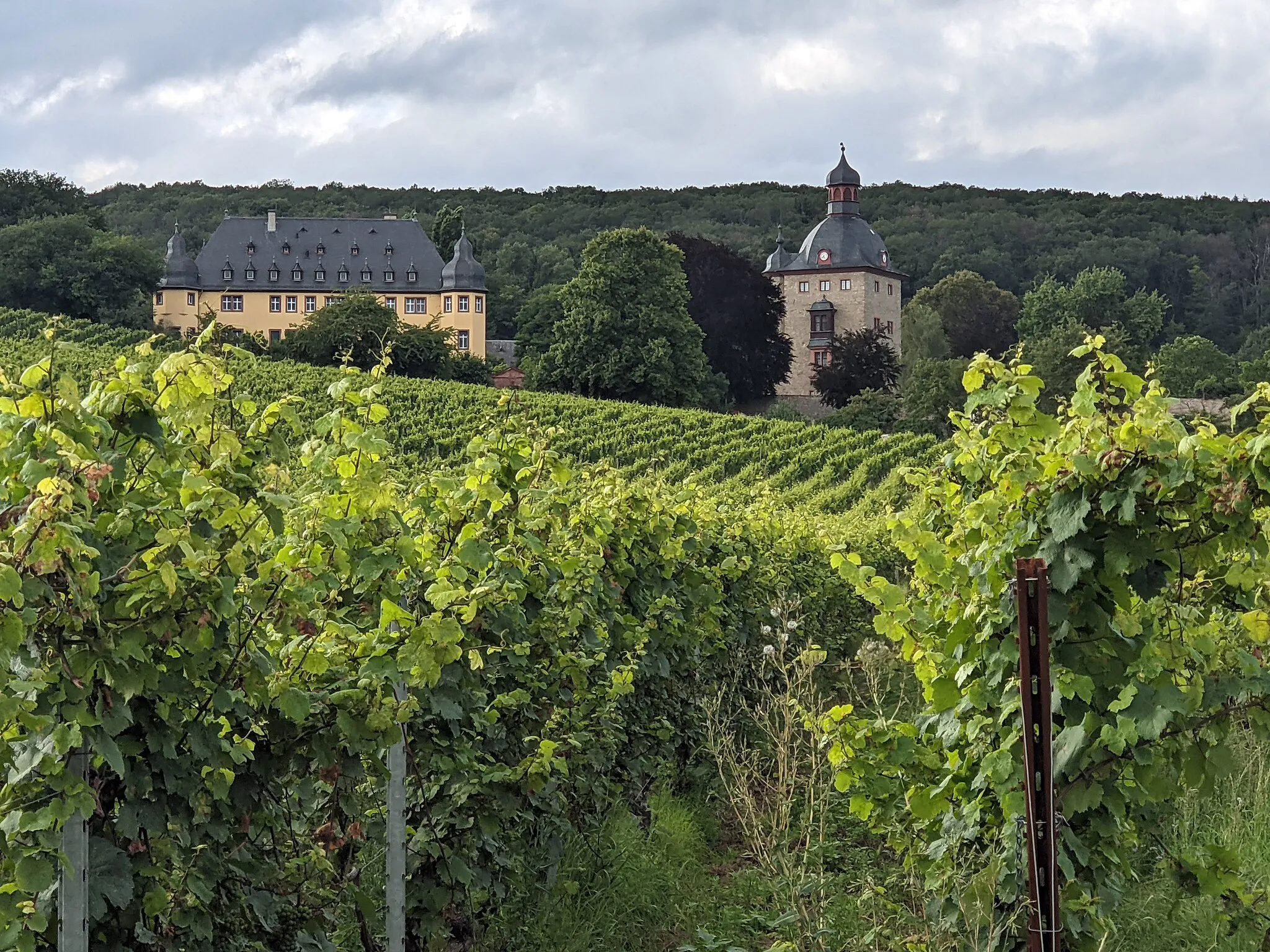 Photo showing: Vollrads castle in Oestrich-Winkel