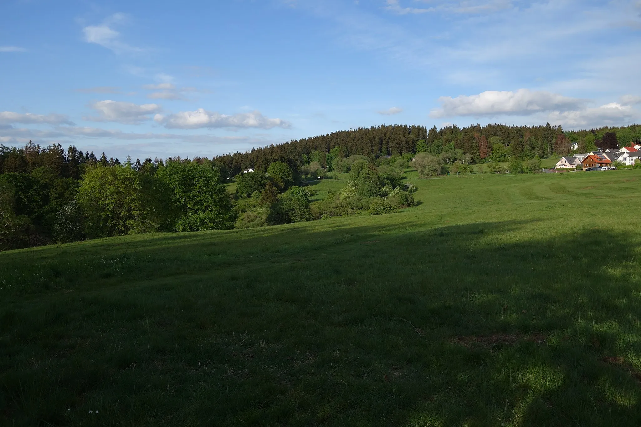 Photo showing: Dillenberg seen from west, above the Siegfriedsiedlung at the eastern outskirts of Ober-Reifefenberg, Schmitten (Taunus).