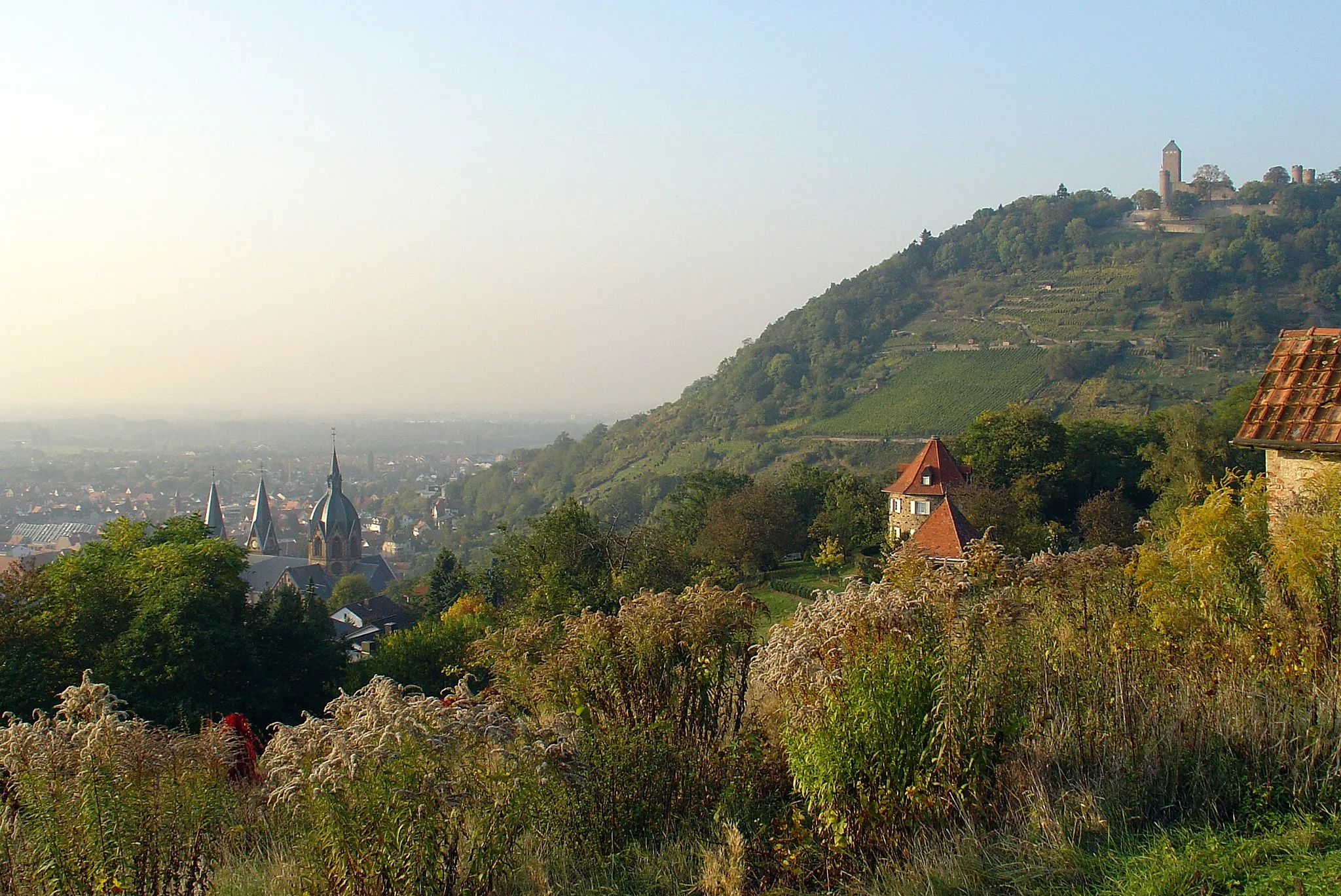 Photo showing: Heppenheim, Germany
Photographer: Marco Mayer

Picture taken: October 13th, 2005