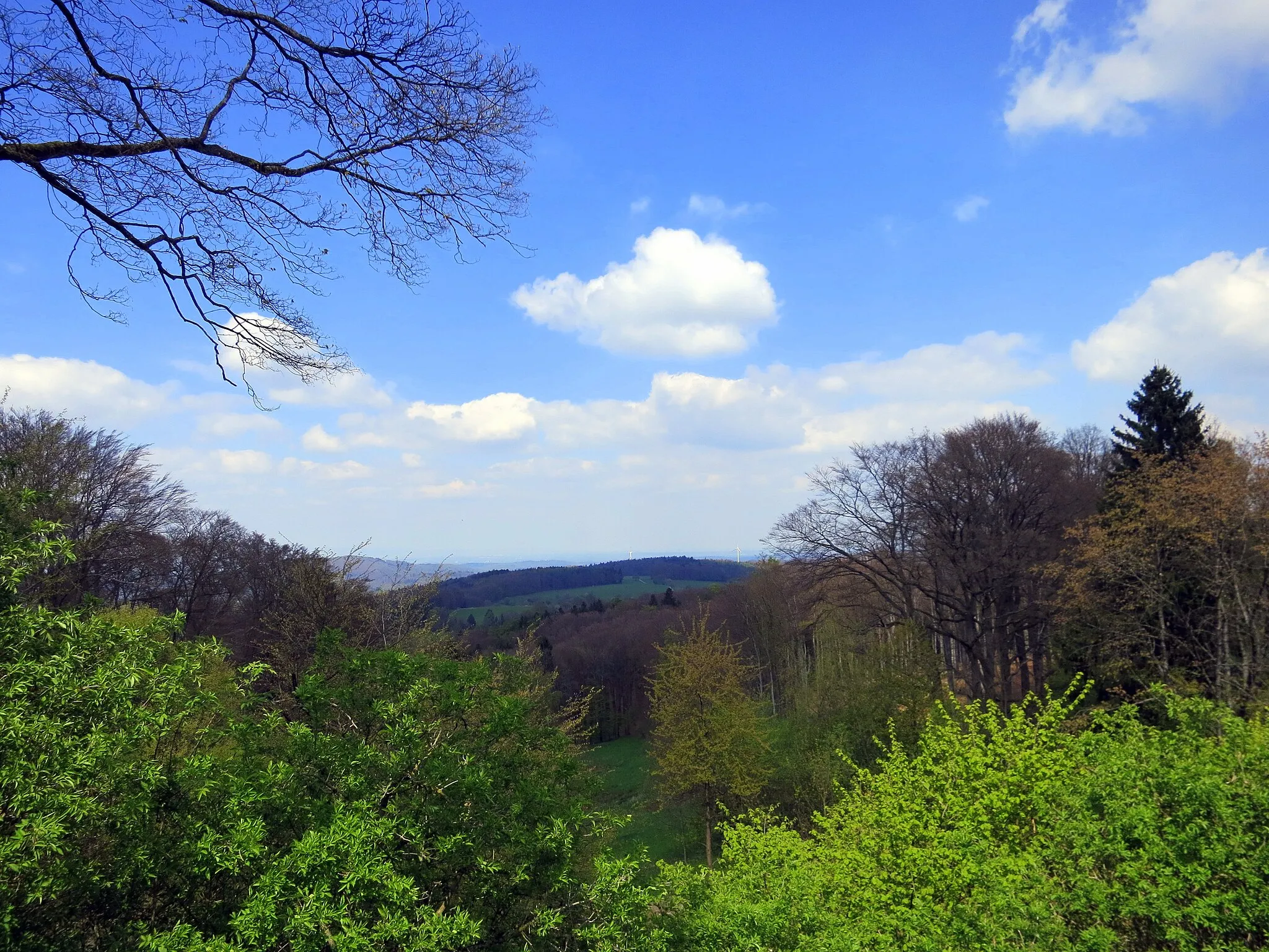 Photo showing: View from the Felsberg (Odenwald)