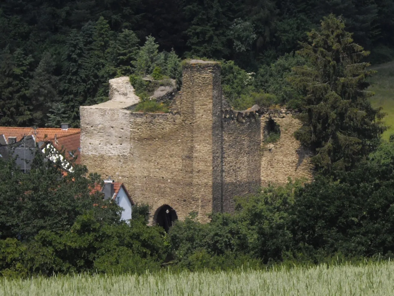 Photo showing: The castle of Wallrabenstein, Taunus, Germany. View from south-eastern direction.