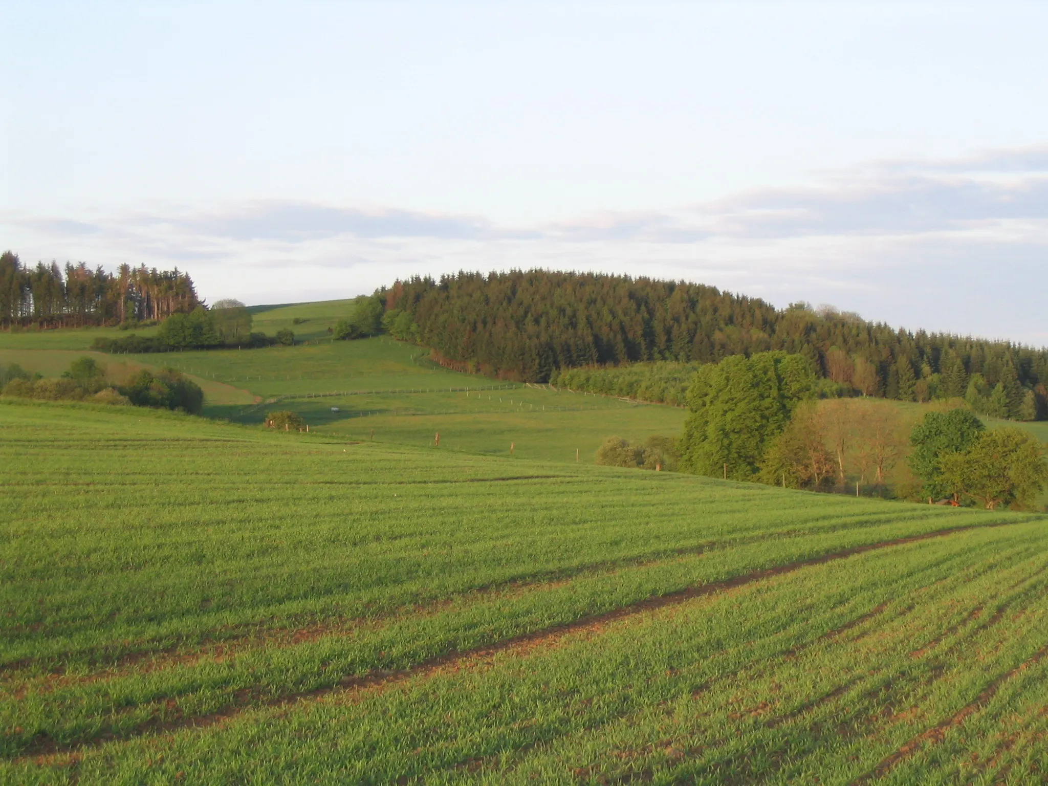 Photo showing: Das Völzberger Köpfchen (571 m) von Westen, aufgenommen vom Vogelsberger Südbahnradweg