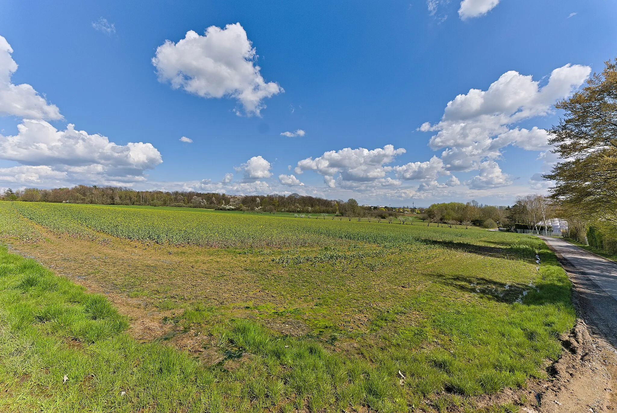 Photo showing: Field in the quarter Neuenhain of Bad Soden am Taunus.