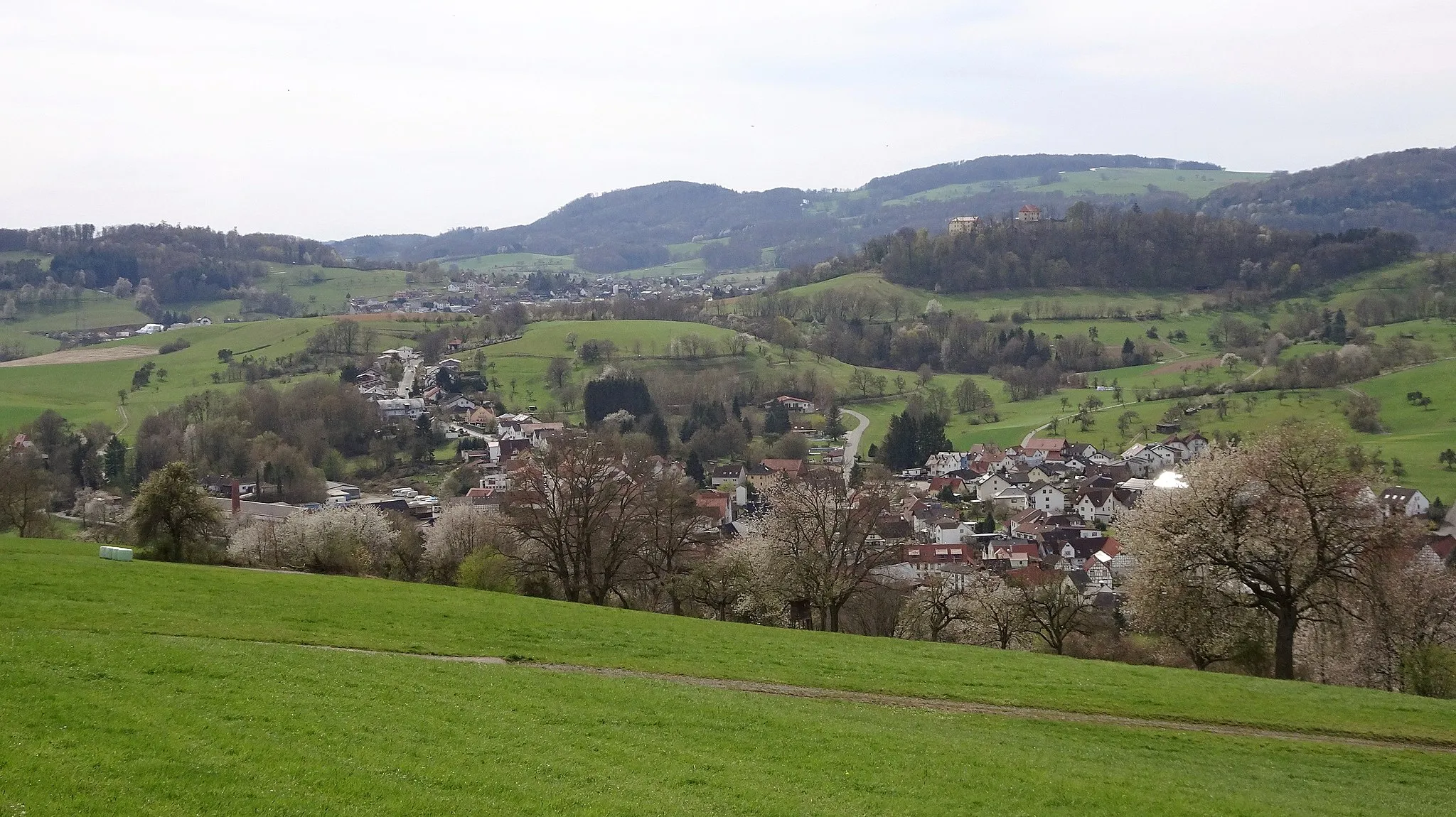 Photo showing: Beerfurth (Reichelsheim), view from the northeast to Pfaffen-Beerfurth. In the background Reichelsheim and the castle Schloss Reichenberg (Germany, Hesse, Odenwaldkreis). Geo-Naturpark Bergstraße-Odenwald