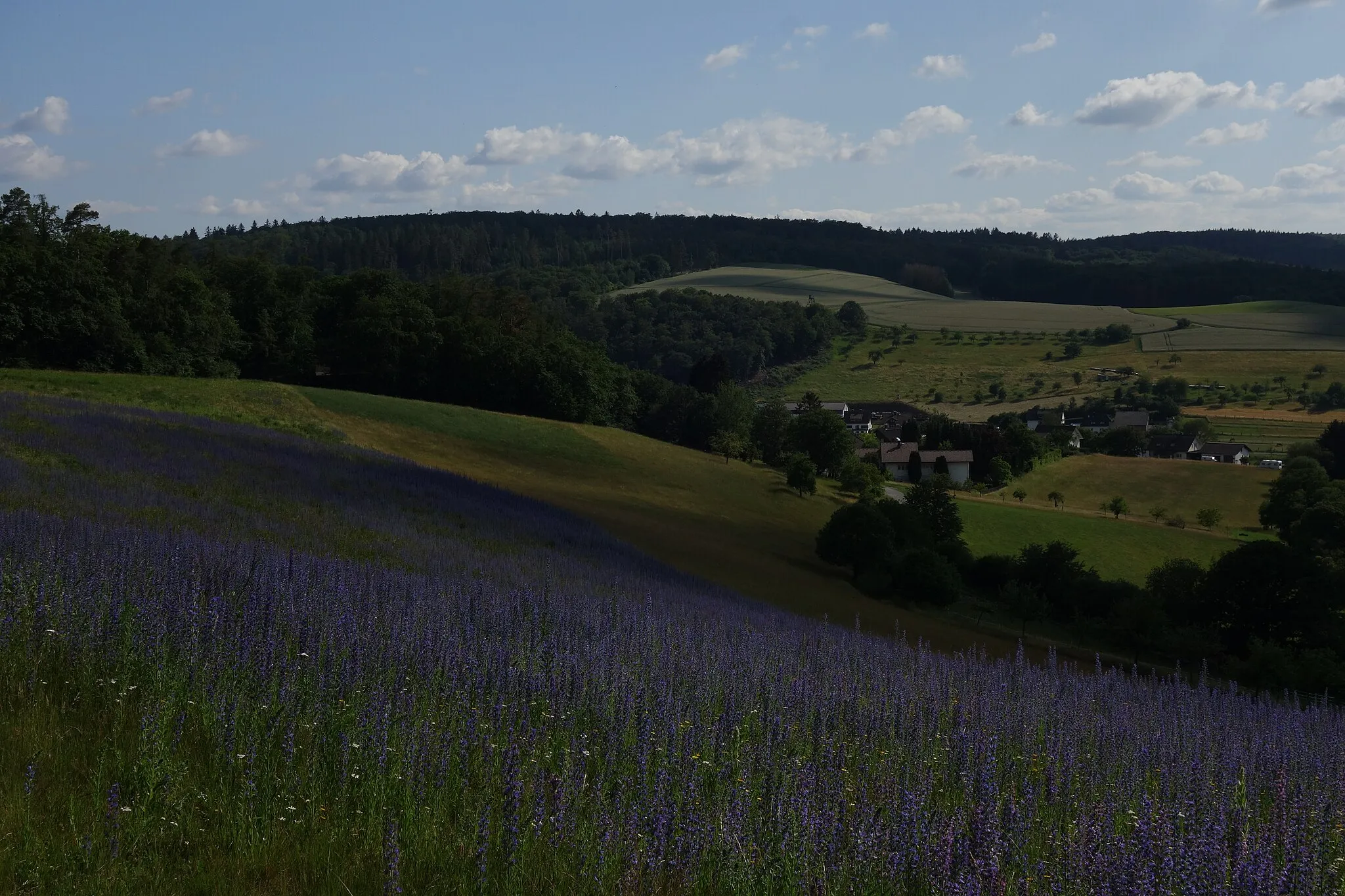 Photo showing: Berg 'Heißer Kopf' bei Wüstems aus Richtung Nordnordwest