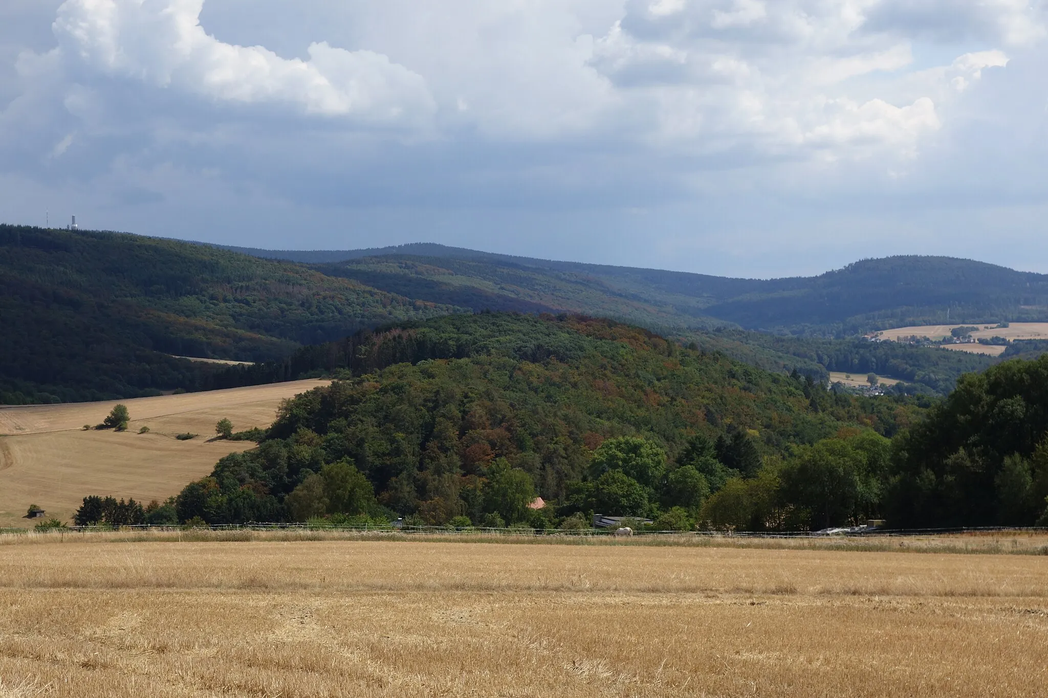 Photo showing: Burg Ringwall Waldems von Nordwesten gesehen, oberhalbs Reichenbachs