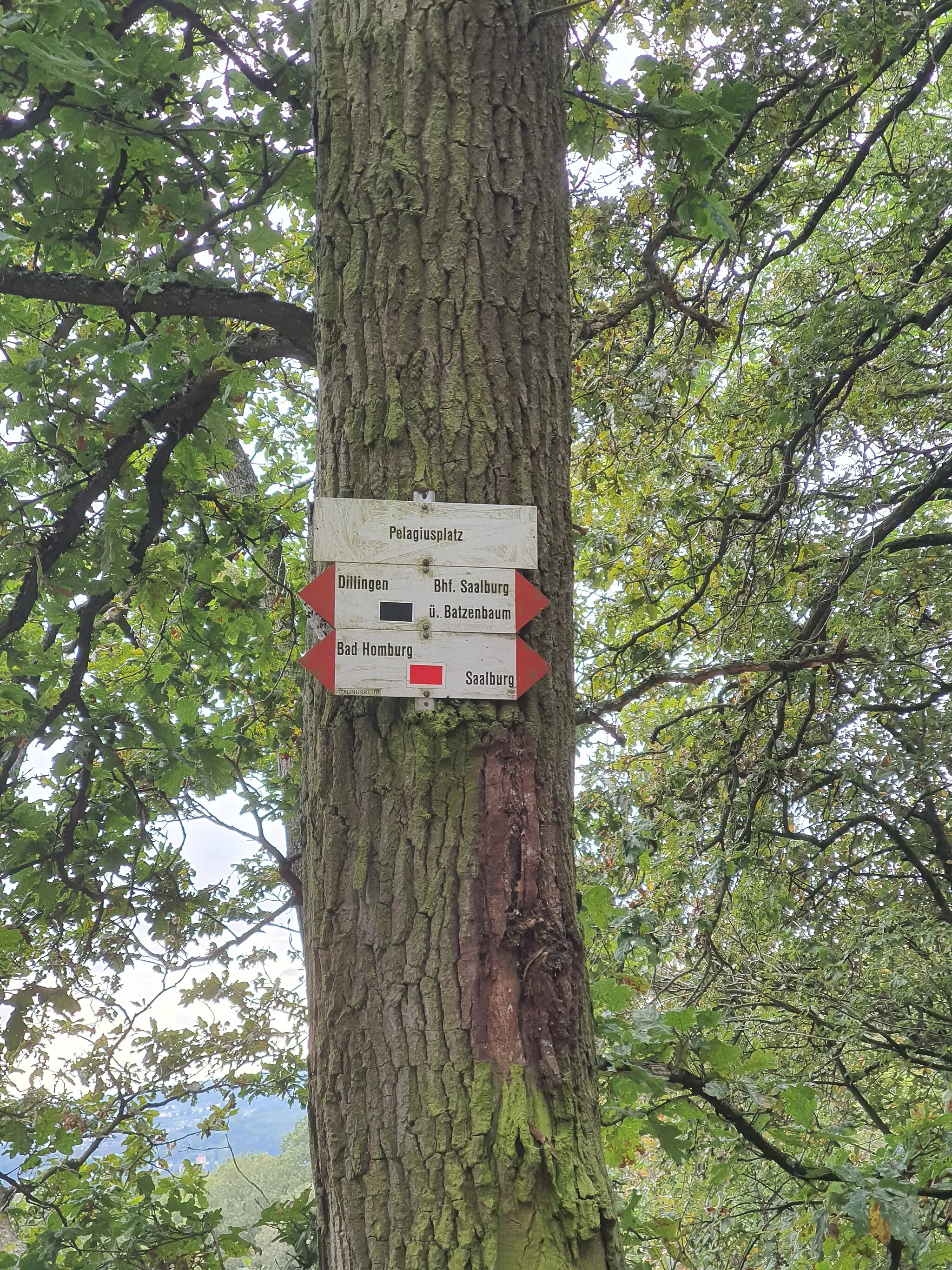 Photo showing: Hiking board at Pelagiuplatz, Taunus, Germany, with directions to nearby goals and the coloring of the markings