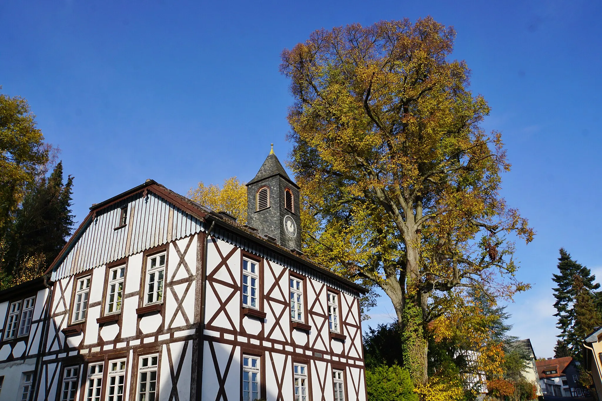 Photo showing: Linden at the old school building of Cratzenbach 01