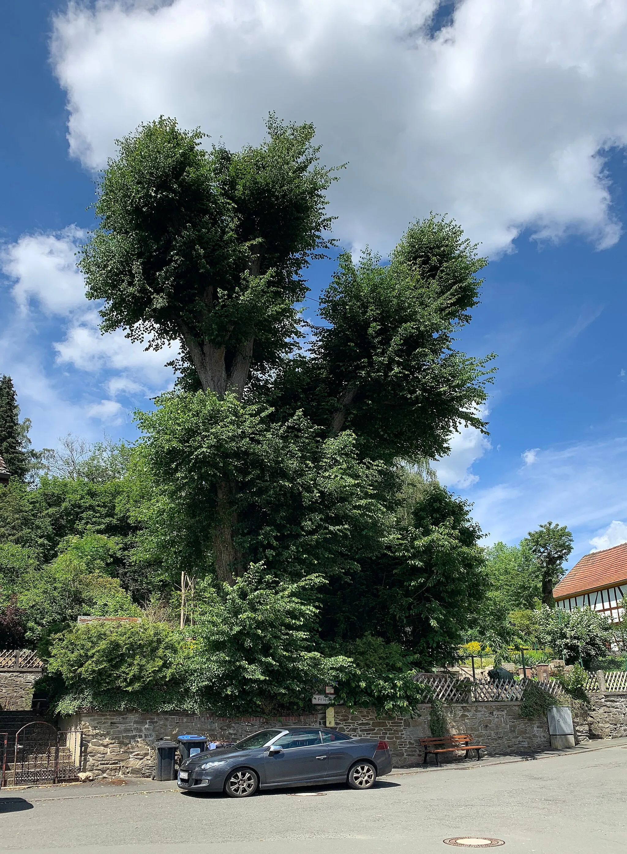 Photo showing: Cratzenbach, Linde an der alten Schule