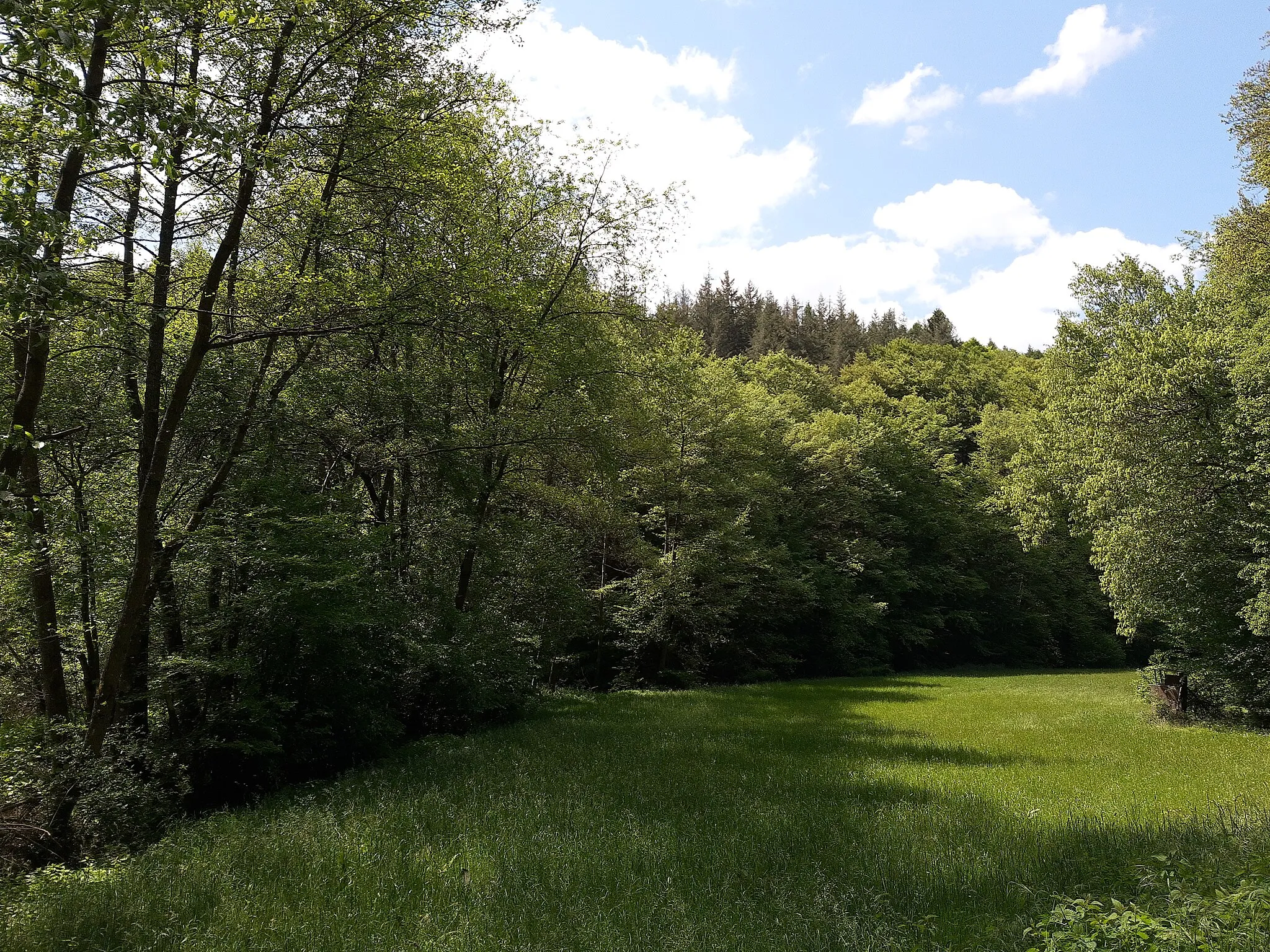 Photo showing: Wörsbach valley, Wörsdorf