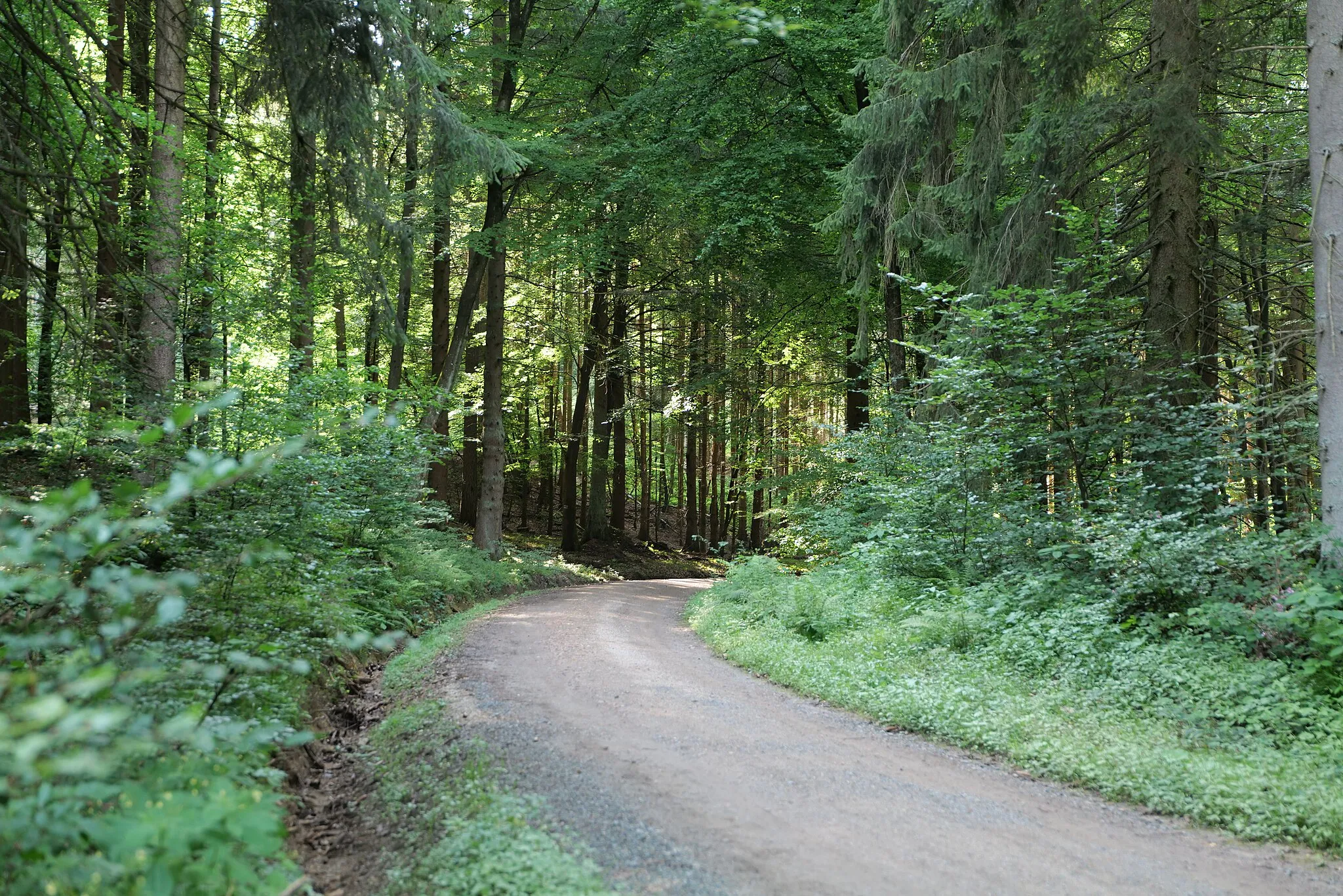 Photo showing: Ferdinandweg im Taunus in Dornholzhausen.