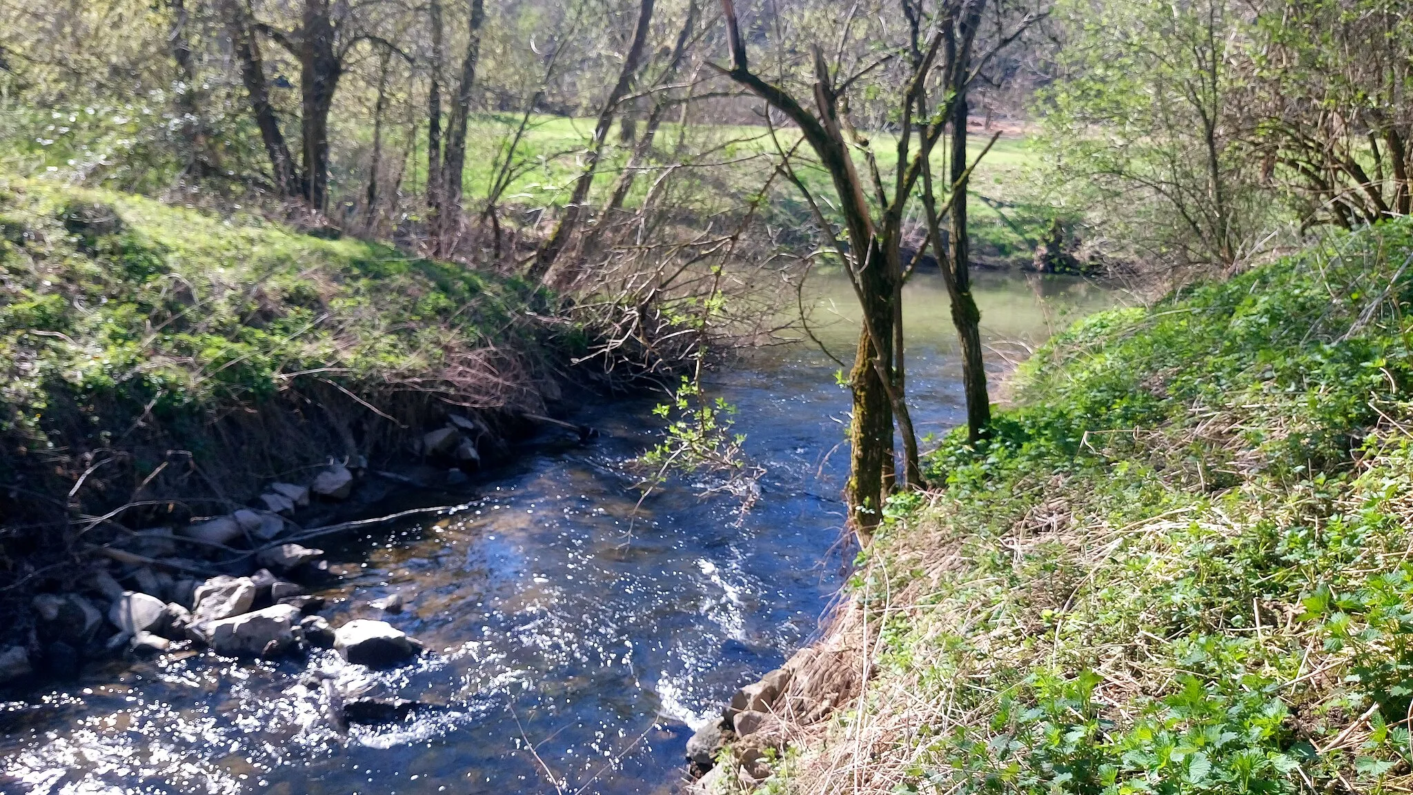 Photo showing: Der Erlenbach mündet in die Nidda