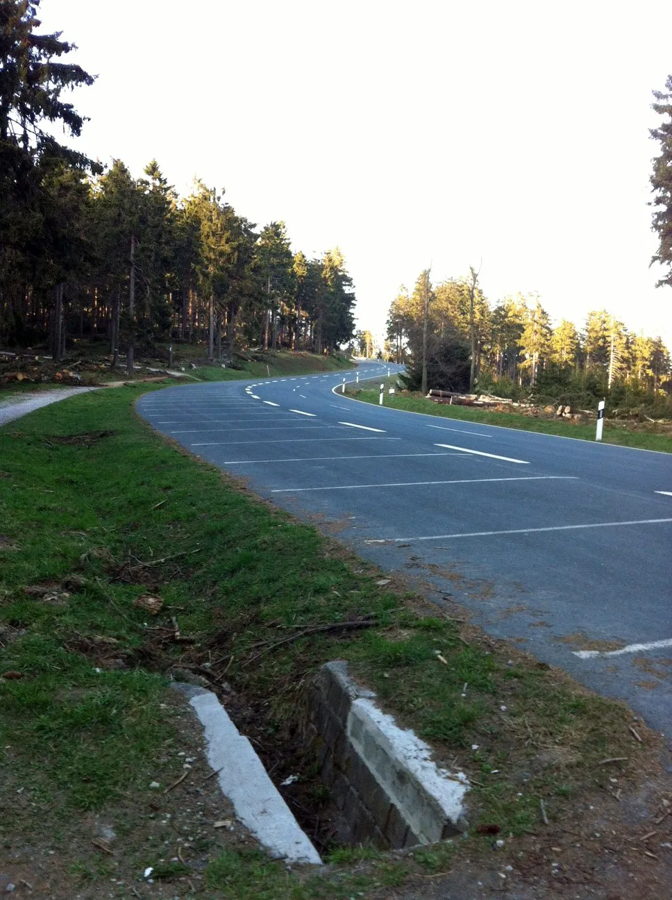 Photo showing: L3024 zwischen Kleiner Feldberg und (in Blickrichtung) Großer Feldberg