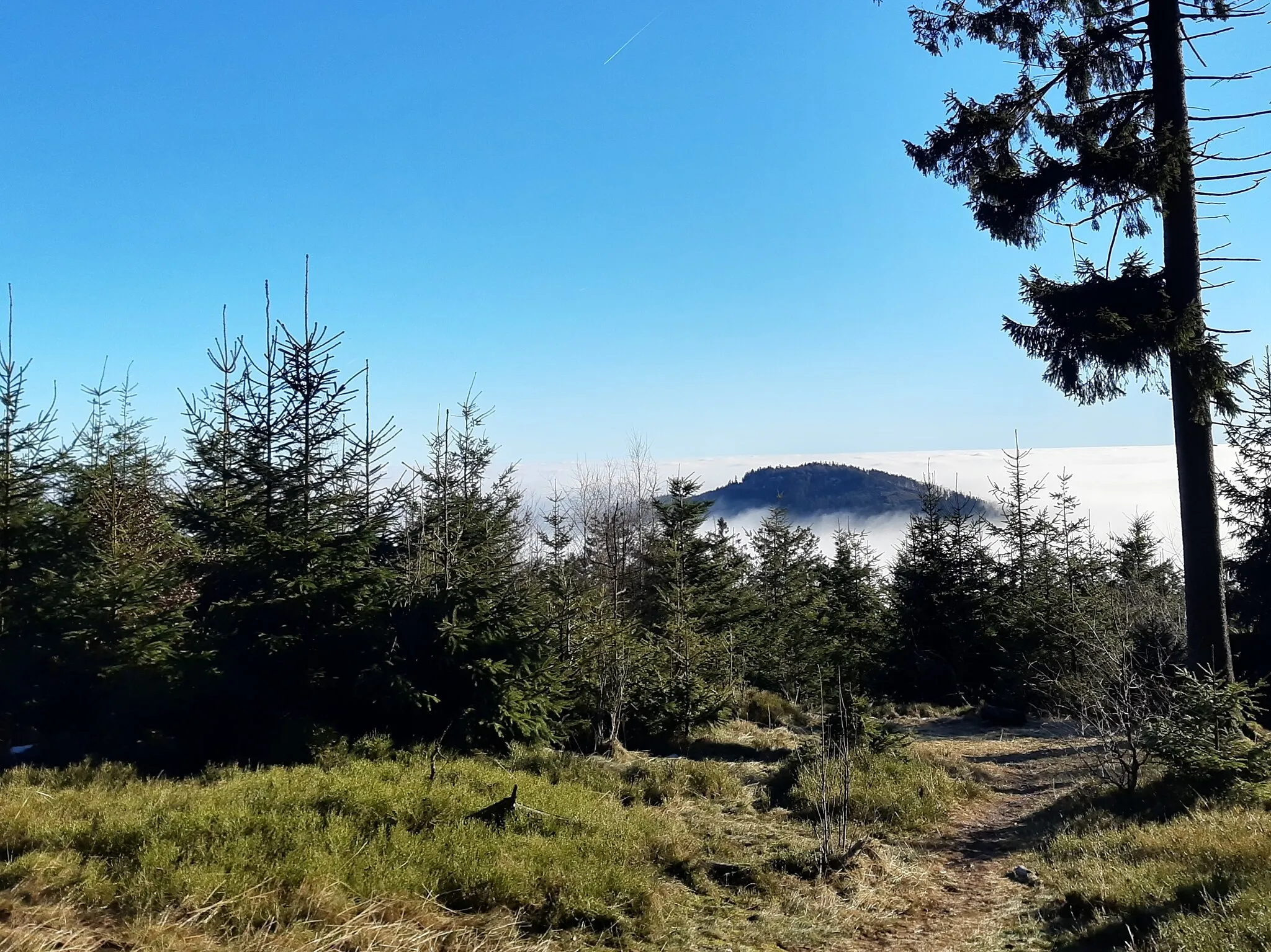 Photo showing: Altkönig, top visible above clouds, sen from the higher Großer Felberg