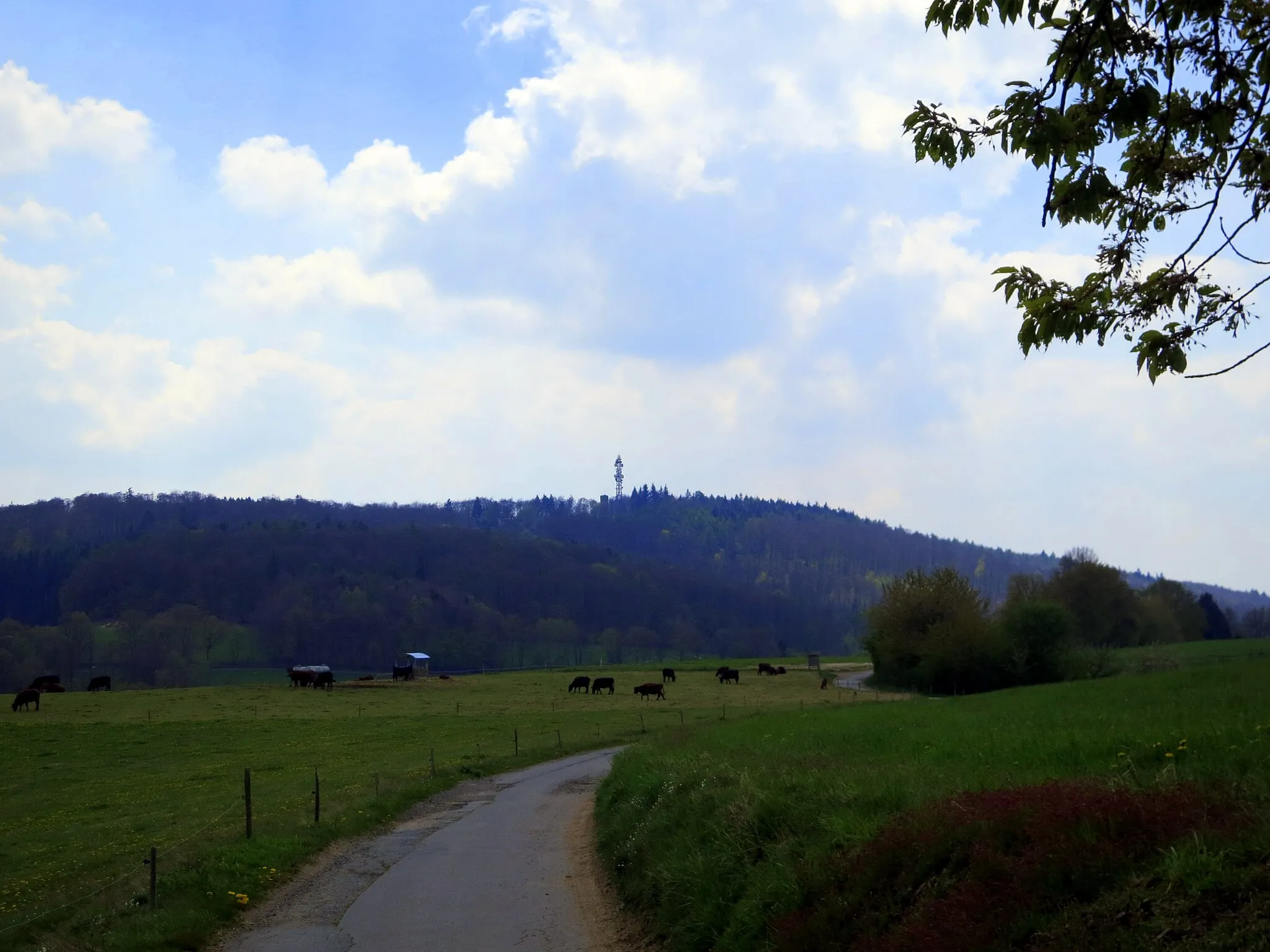 Photo showing: View of the Felsberg (Odenwald)