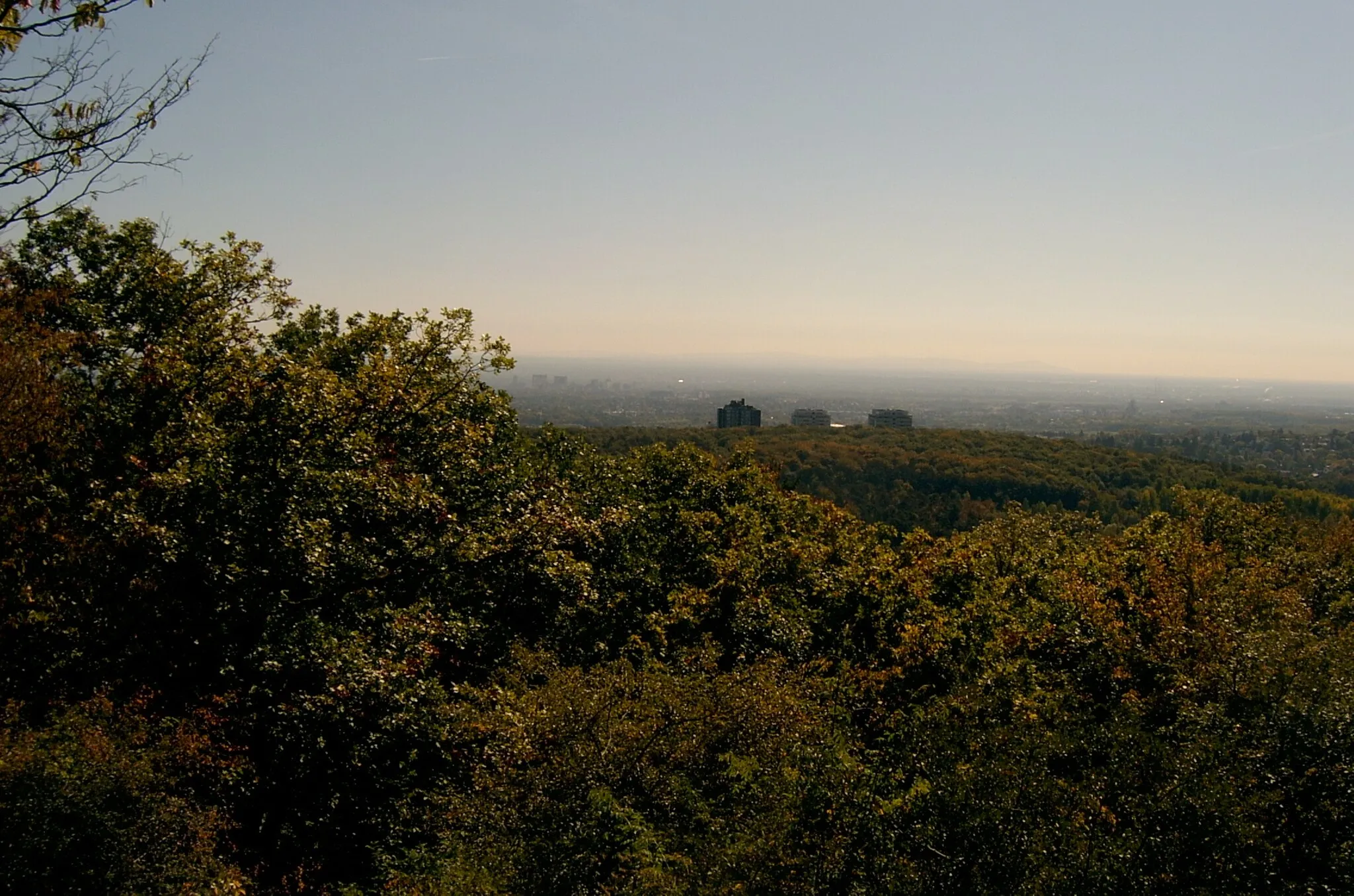 Photo showing: Blick vom "Gilboa-Tempel" in Richtung Frankfurt