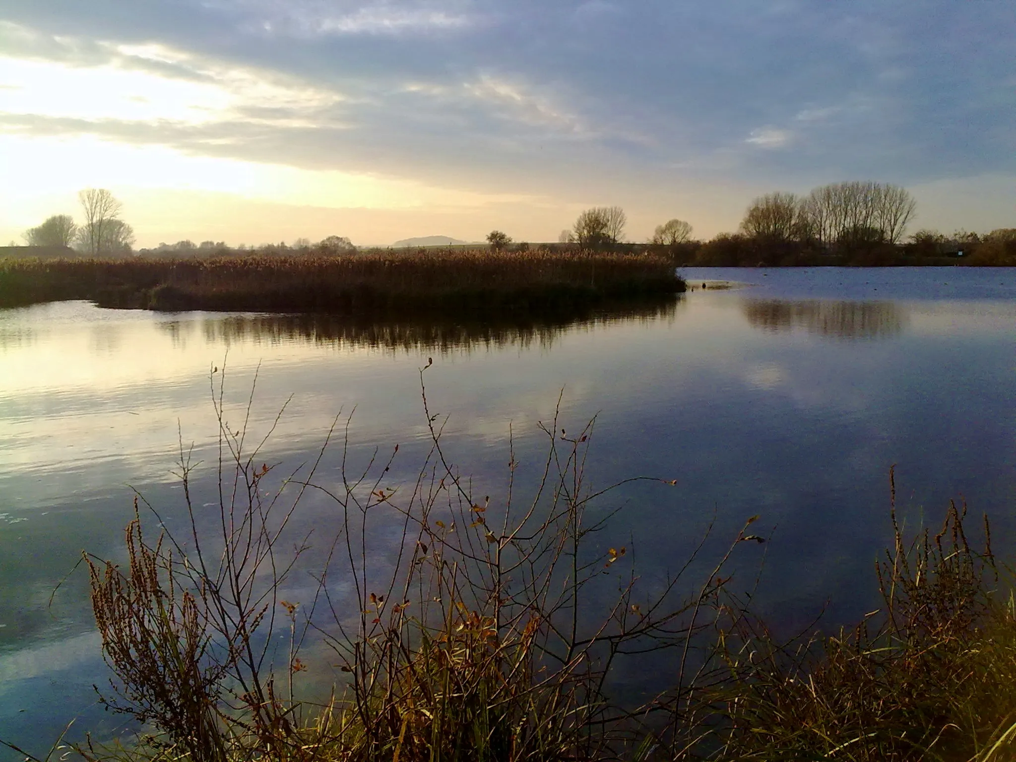 Photo showing: Blick auf das Naturschutzgebiet Reinheimer Teich, weit im Hintergrund der Roßberg